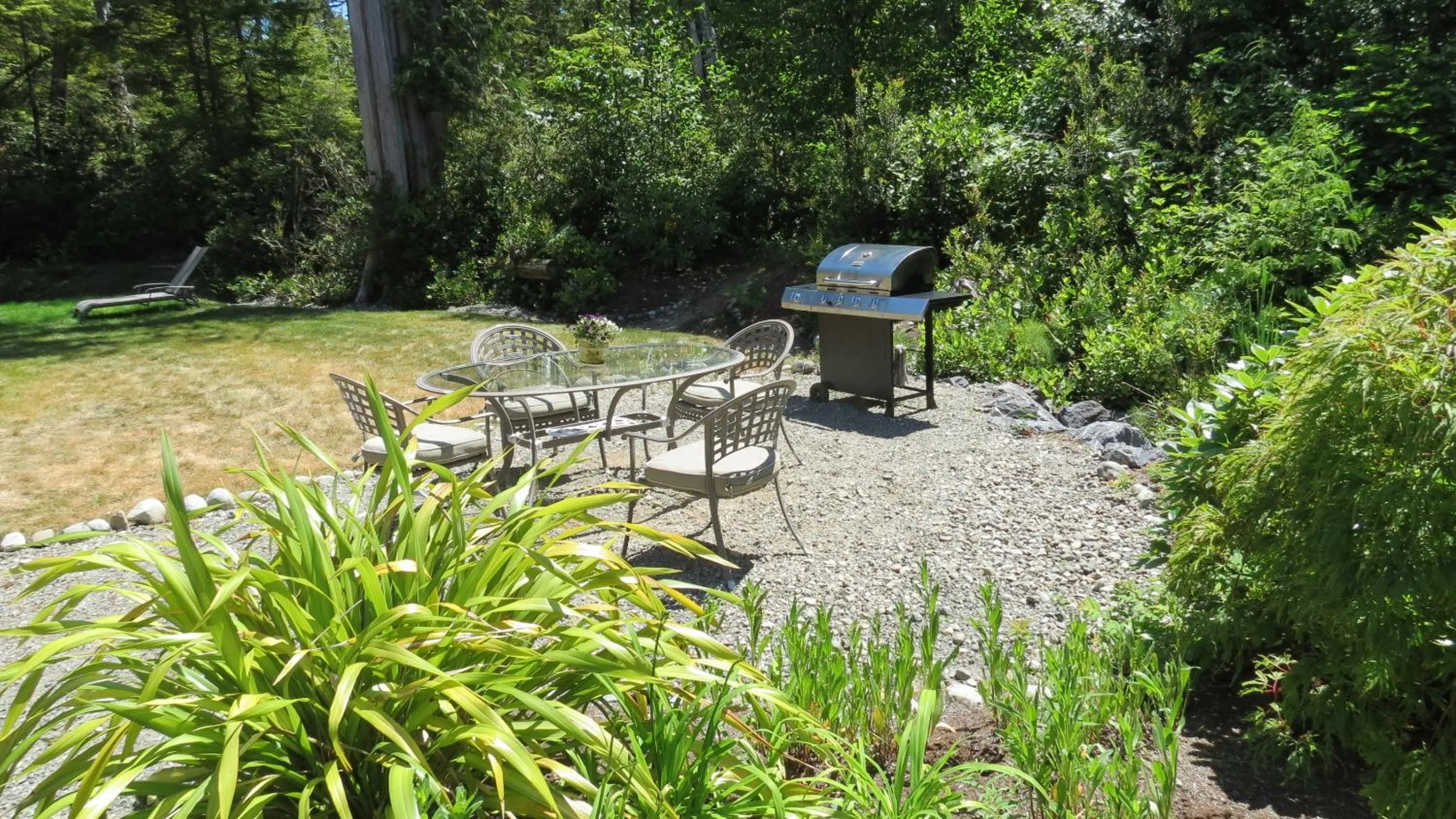 Garden view in Cobble Wood and Bird Sanctuary Guest Houses