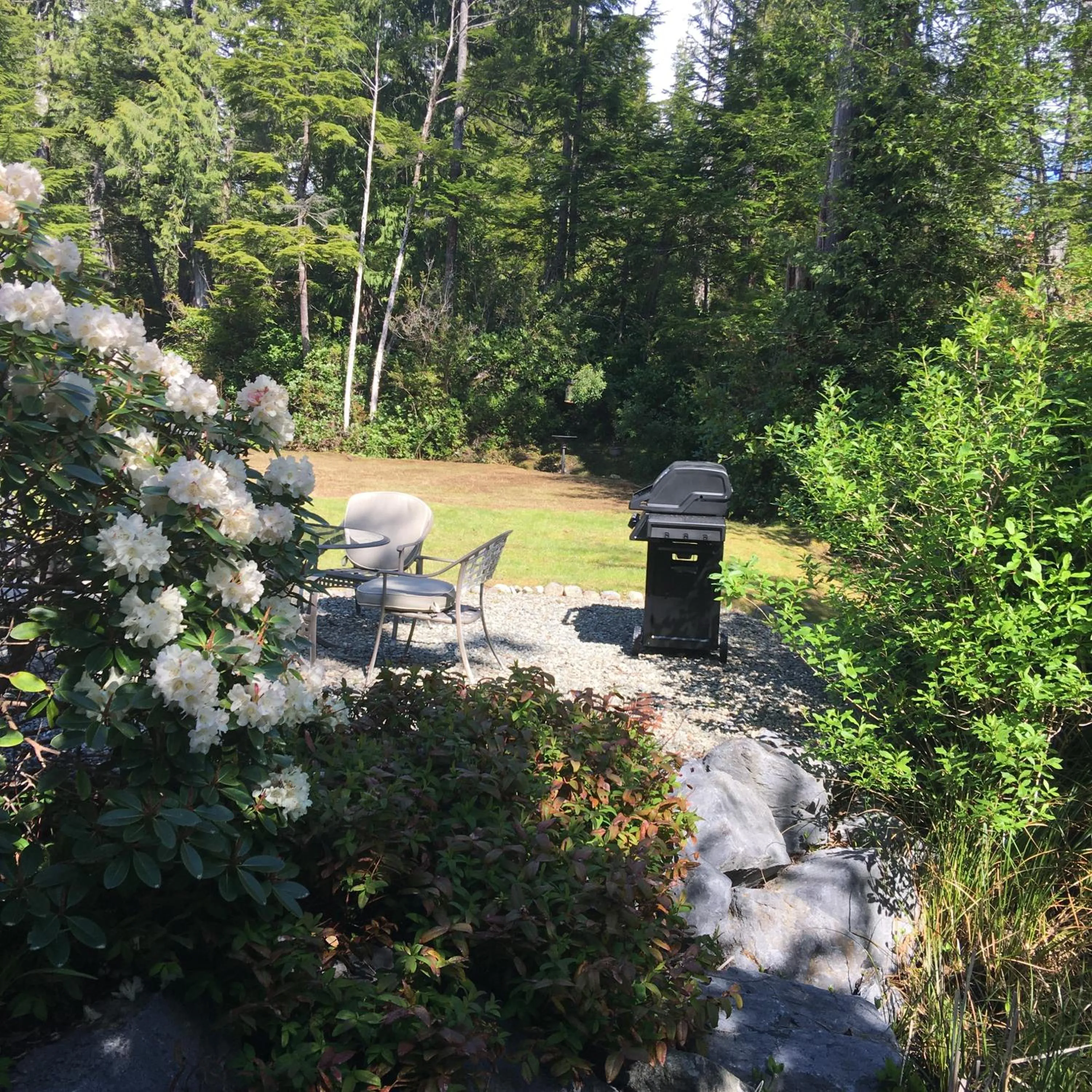 Garden view in Cobble Wood and Bird Sanctuary Guest Houses