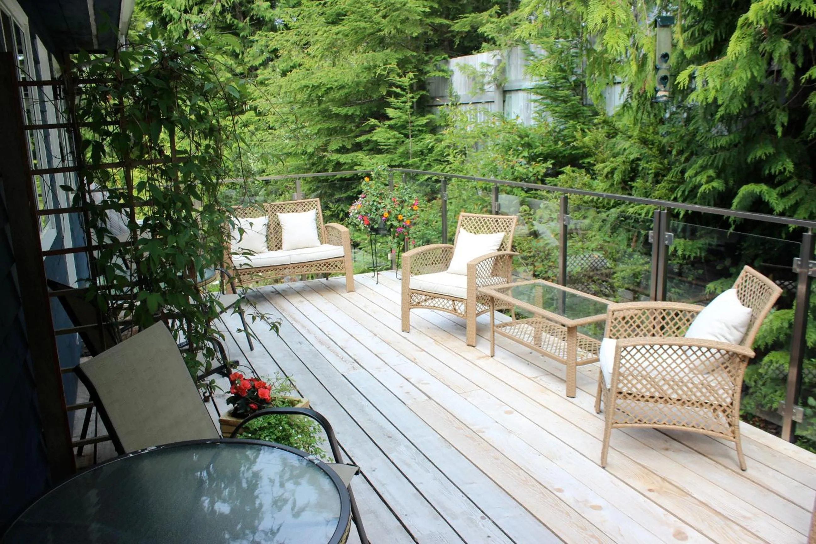 Garden in Cobble Wood and Bird Sanctuary Guest Houses
