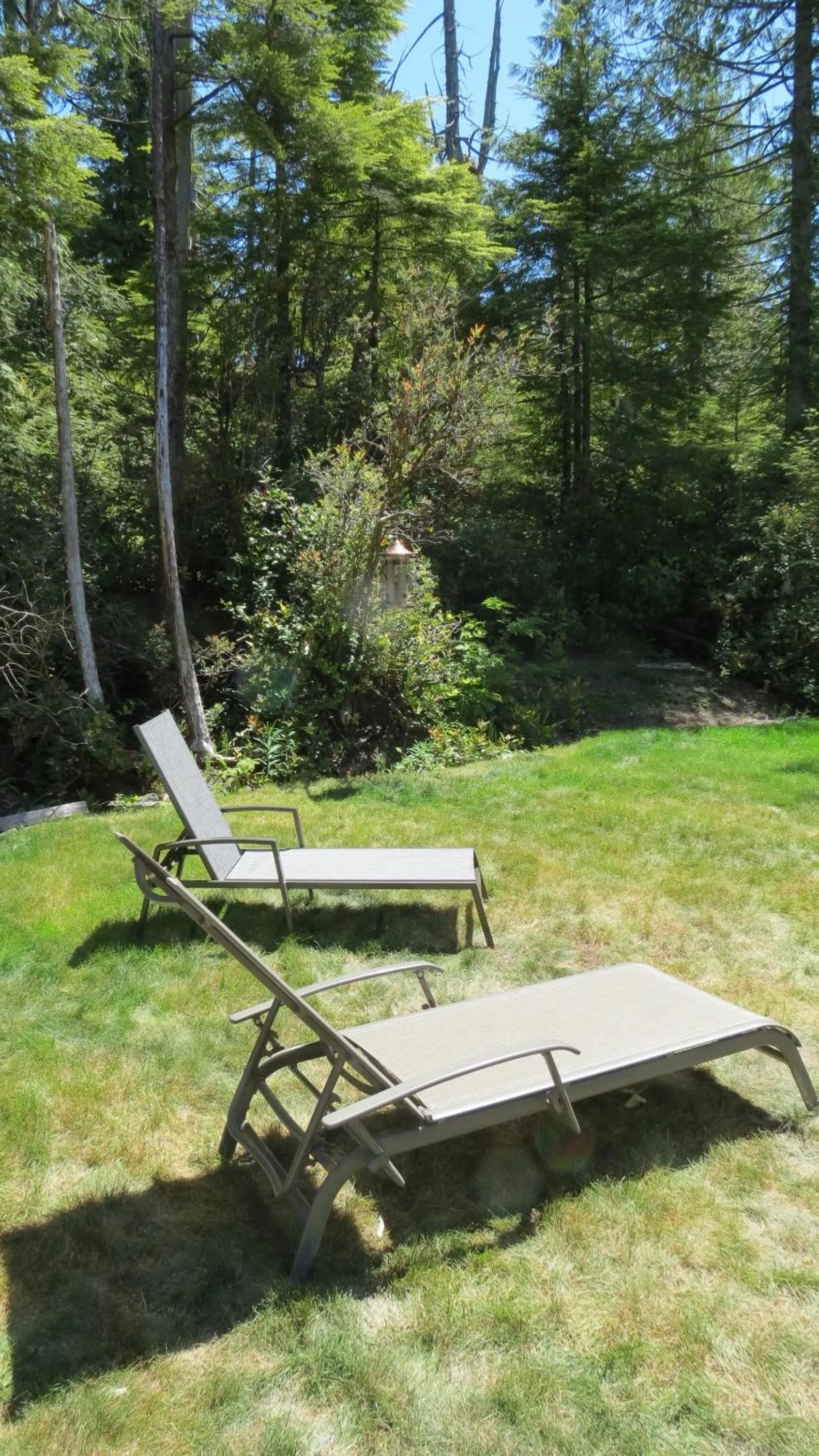 Garden in Cobble Wood and Bird Sanctuary Guest Houses