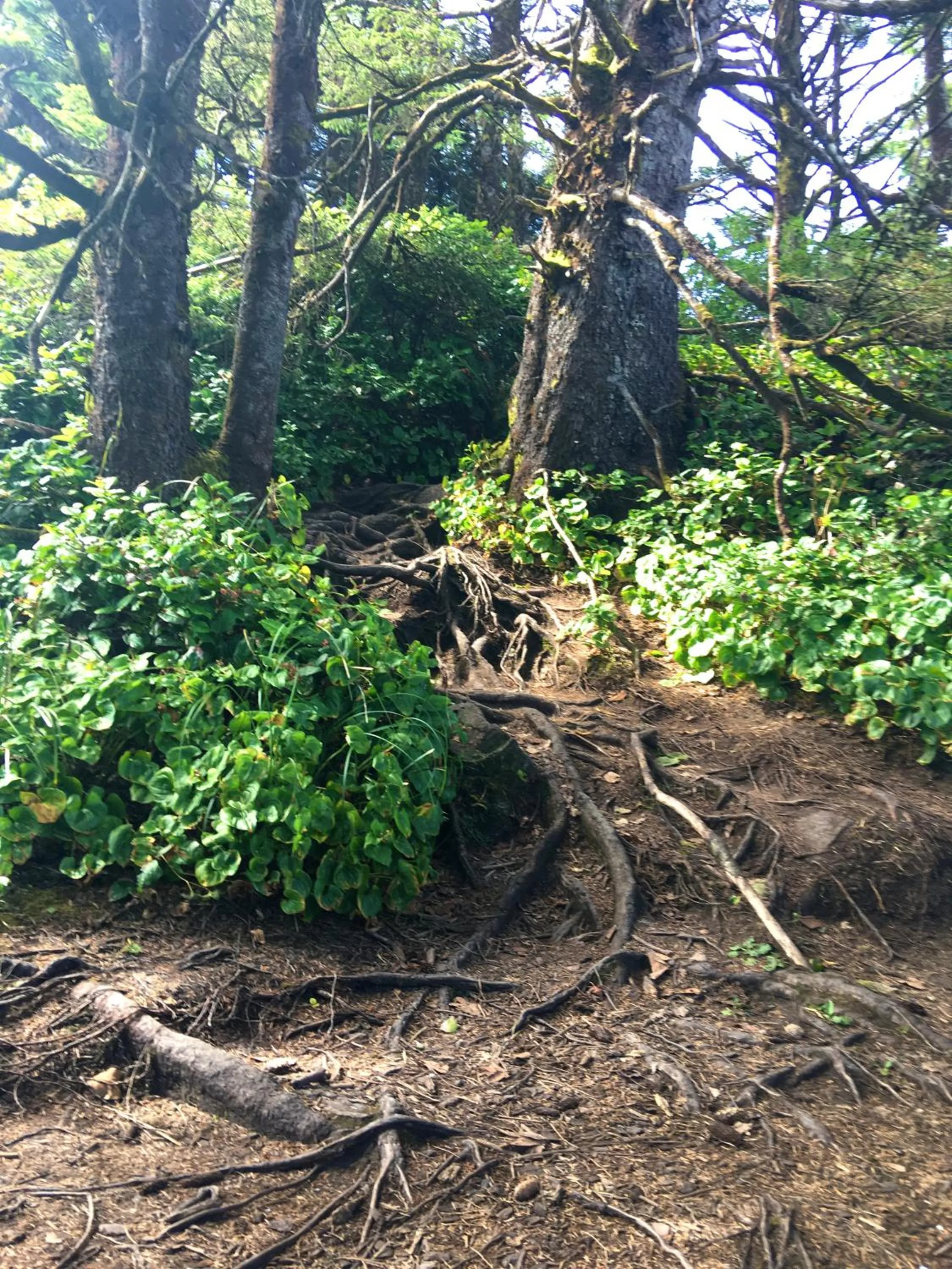 Hiking in Cobble Wood and Bird Sanctuary Guest Houses
