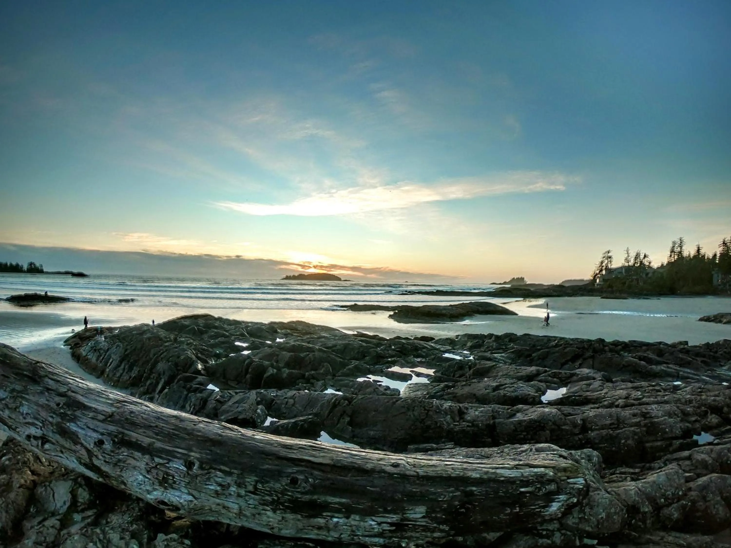 Beach in Cobble Wood and Bird Sanctuary Guest Houses