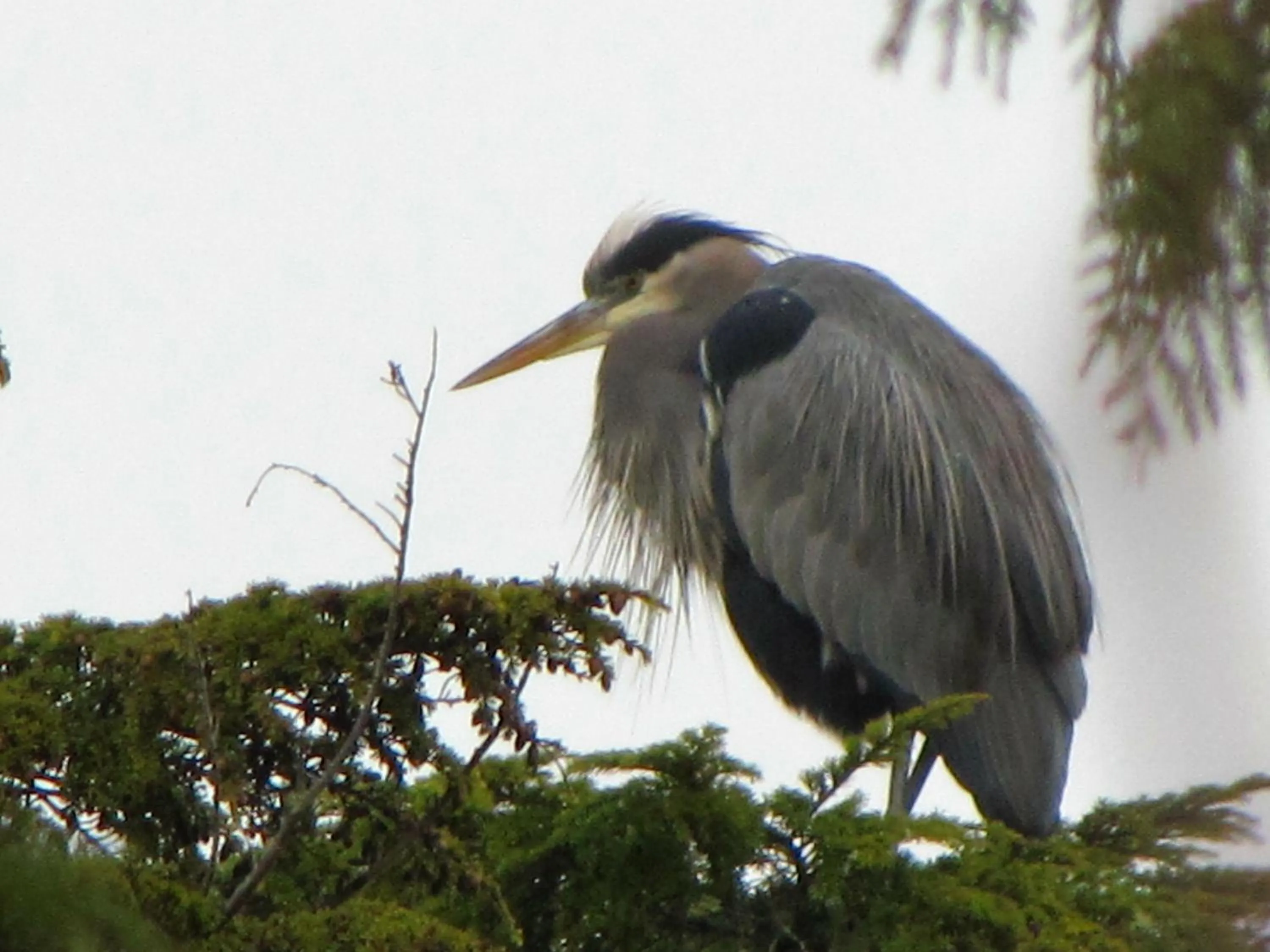Other in Cobble Wood and Bird Sanctuary Guest Houses