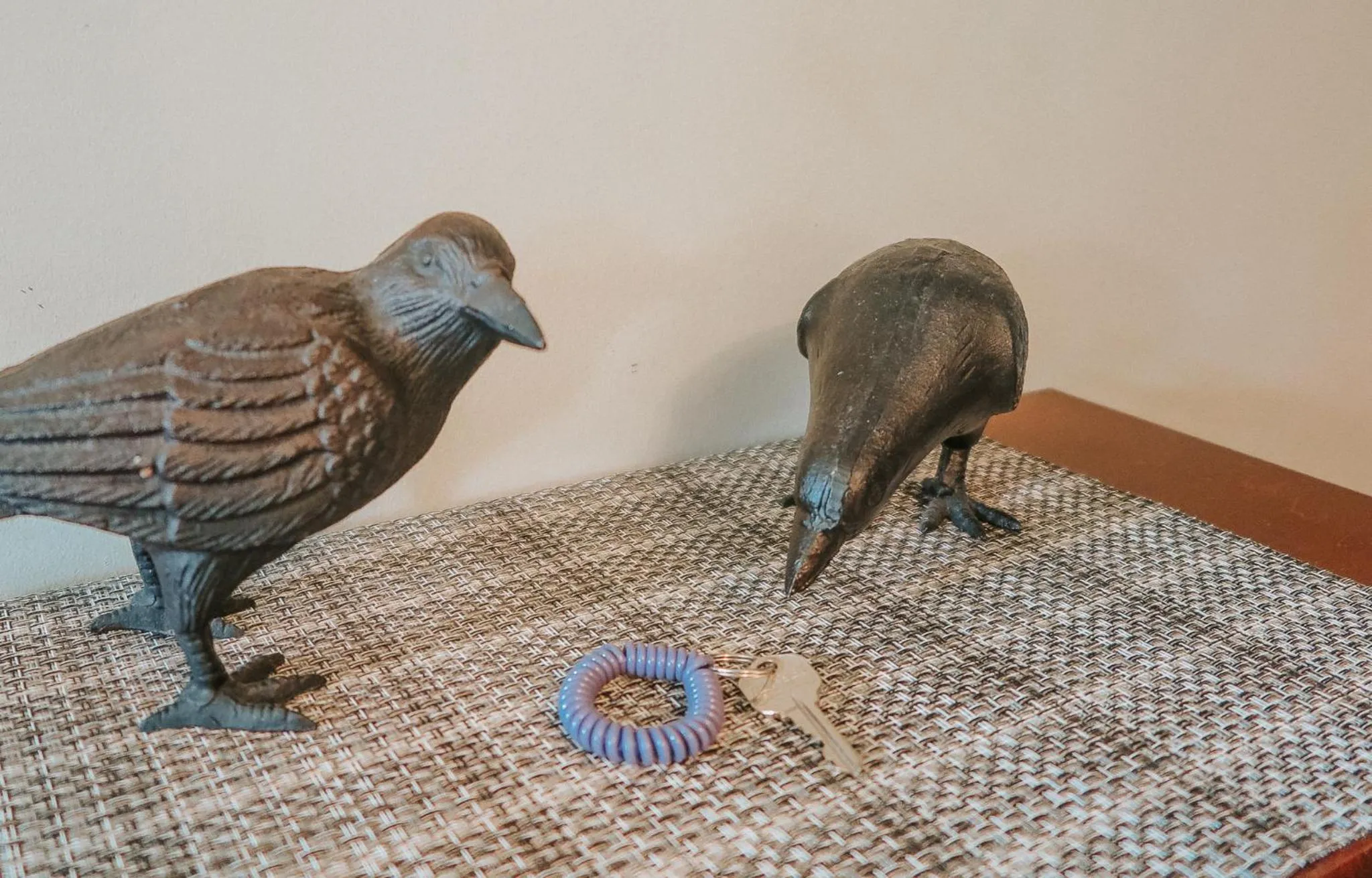 Pets in Cobble Wood and Bird Sanctuary Guest Houses