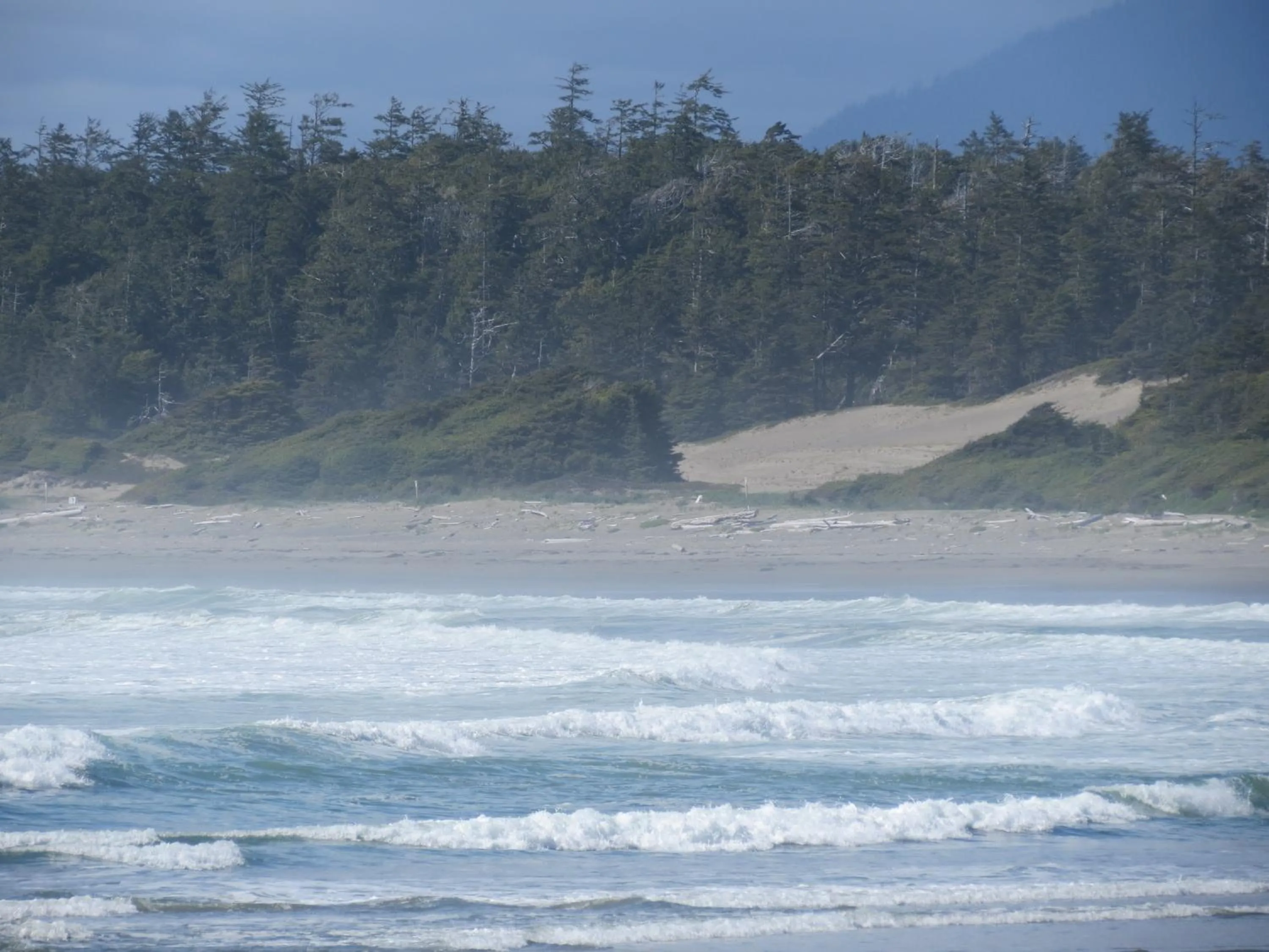 Location in Cobble Wood and Bird Sanctuary Guest Houses