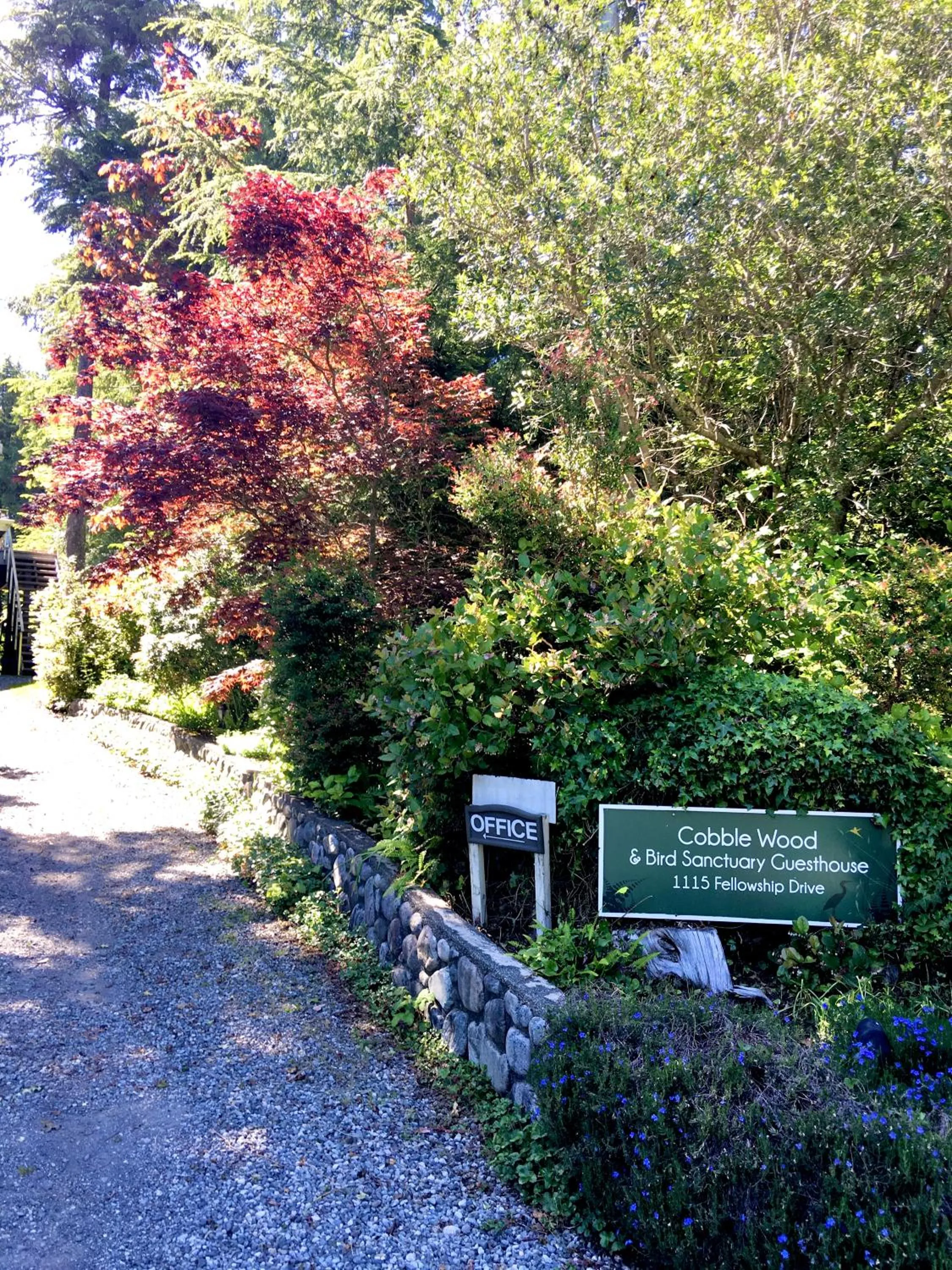 Garden in Cobble Wood and Bird Sanctuary Guest Houses