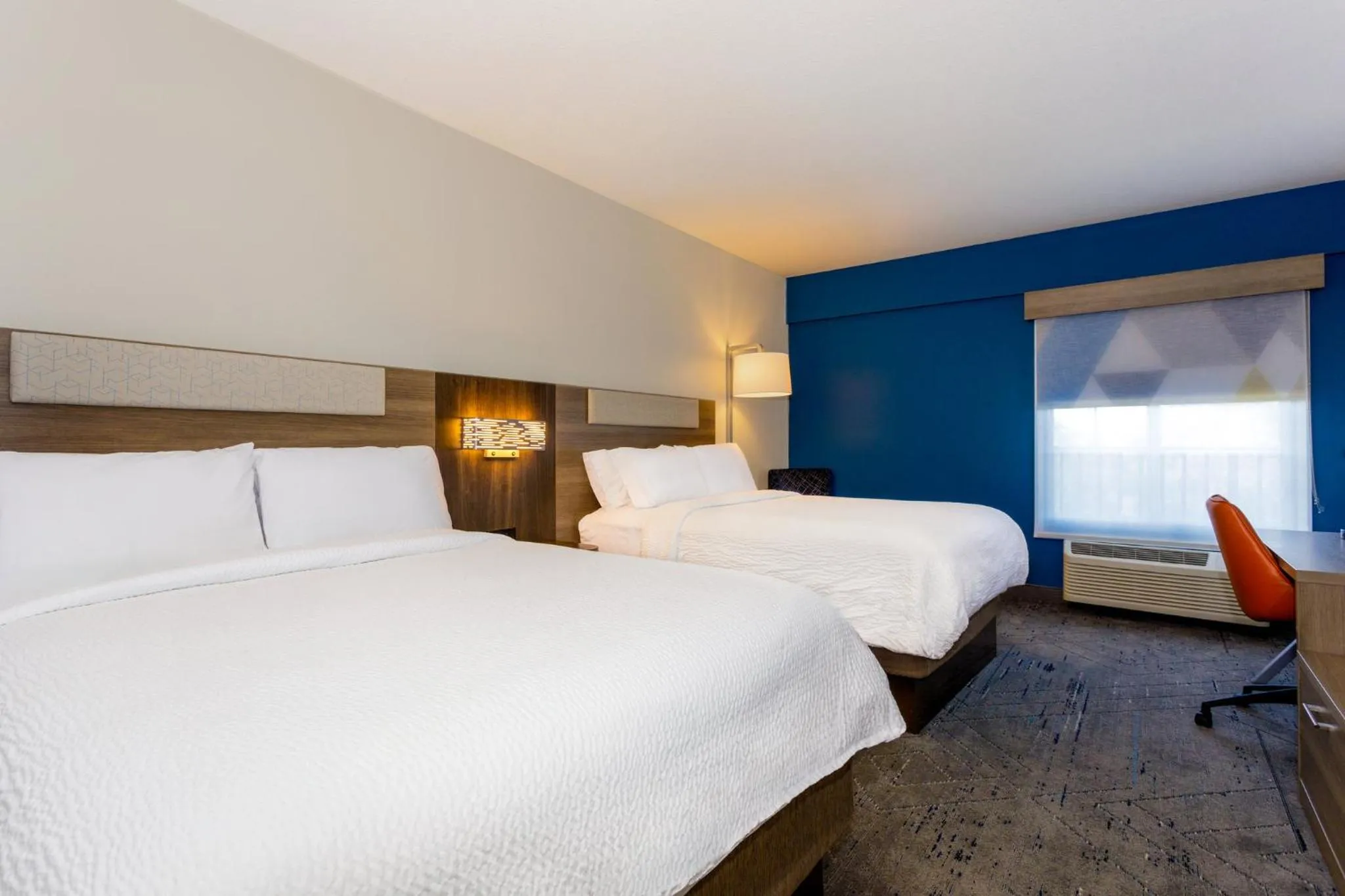 Photo of the whole room, Bed in Holiday Inn Express Tampa North Telecom Park by IHG