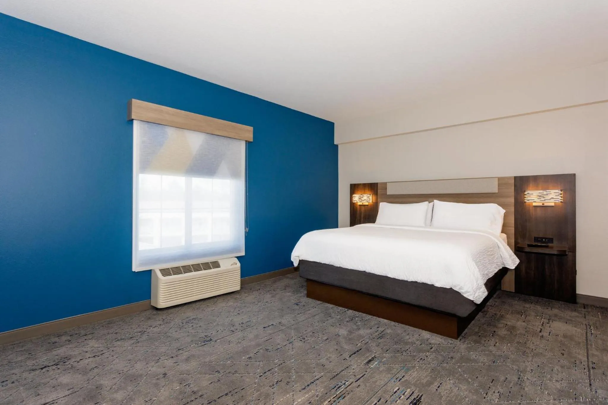 Photo of the whole room, Bed in Holiday Inn Express Tampa North Telecom Park by IHG