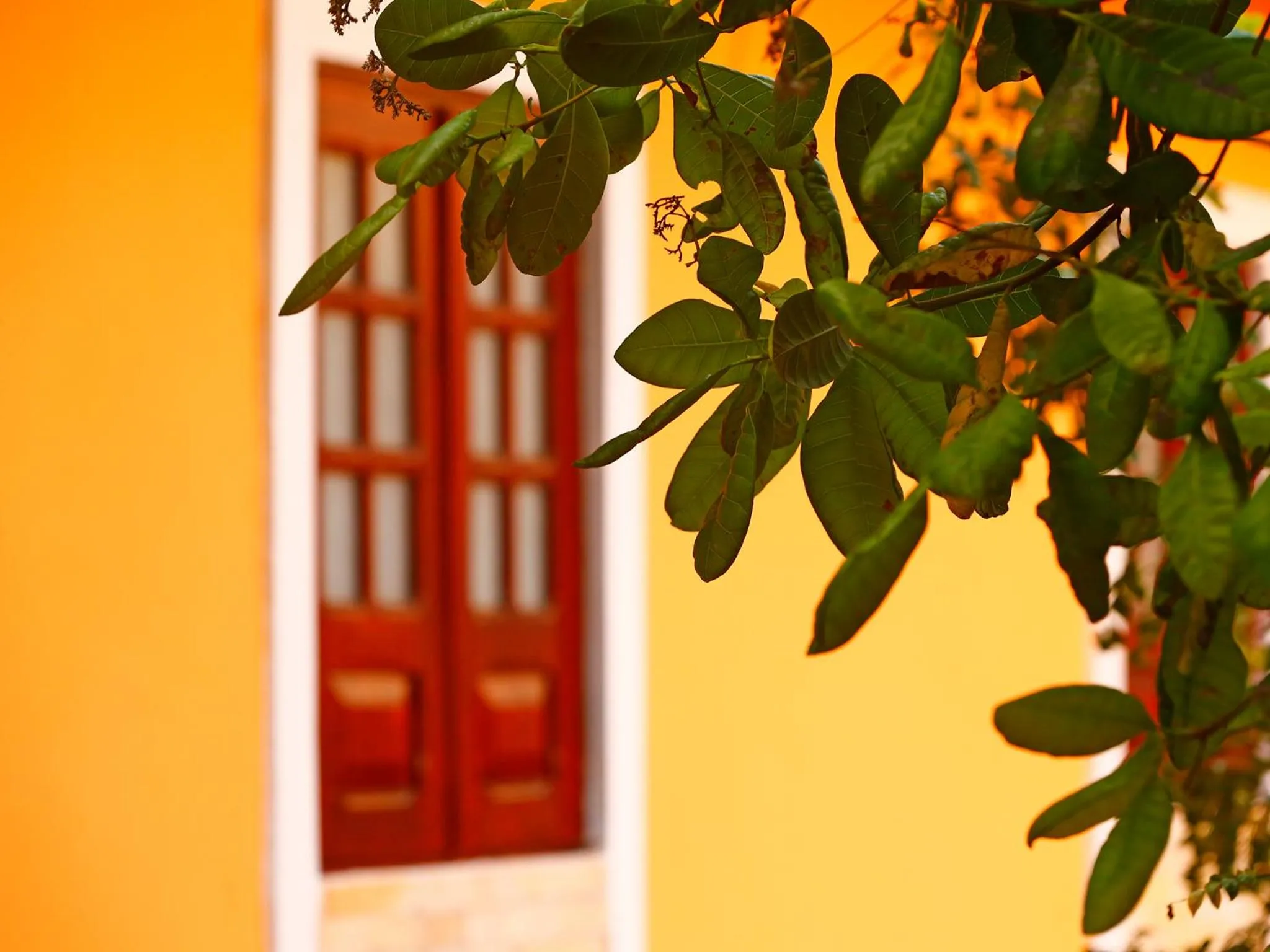 Decorative detail in Pousada Casamar