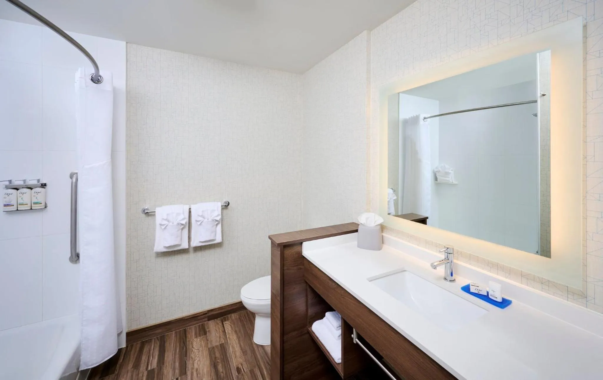 Bathroom in Holiday Inn Express & Suites - Brantford by IHG