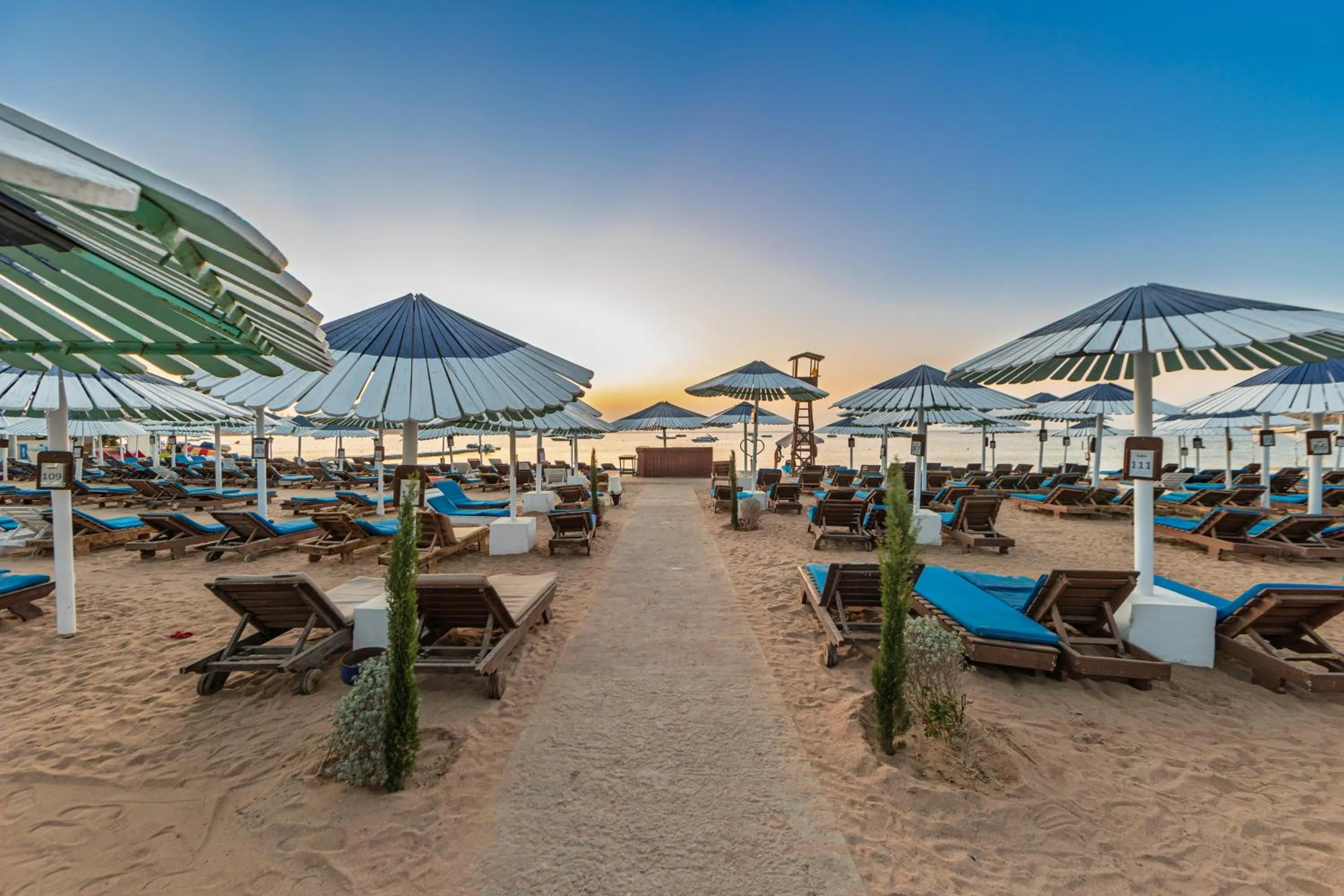 Beach in Ghazala Beach