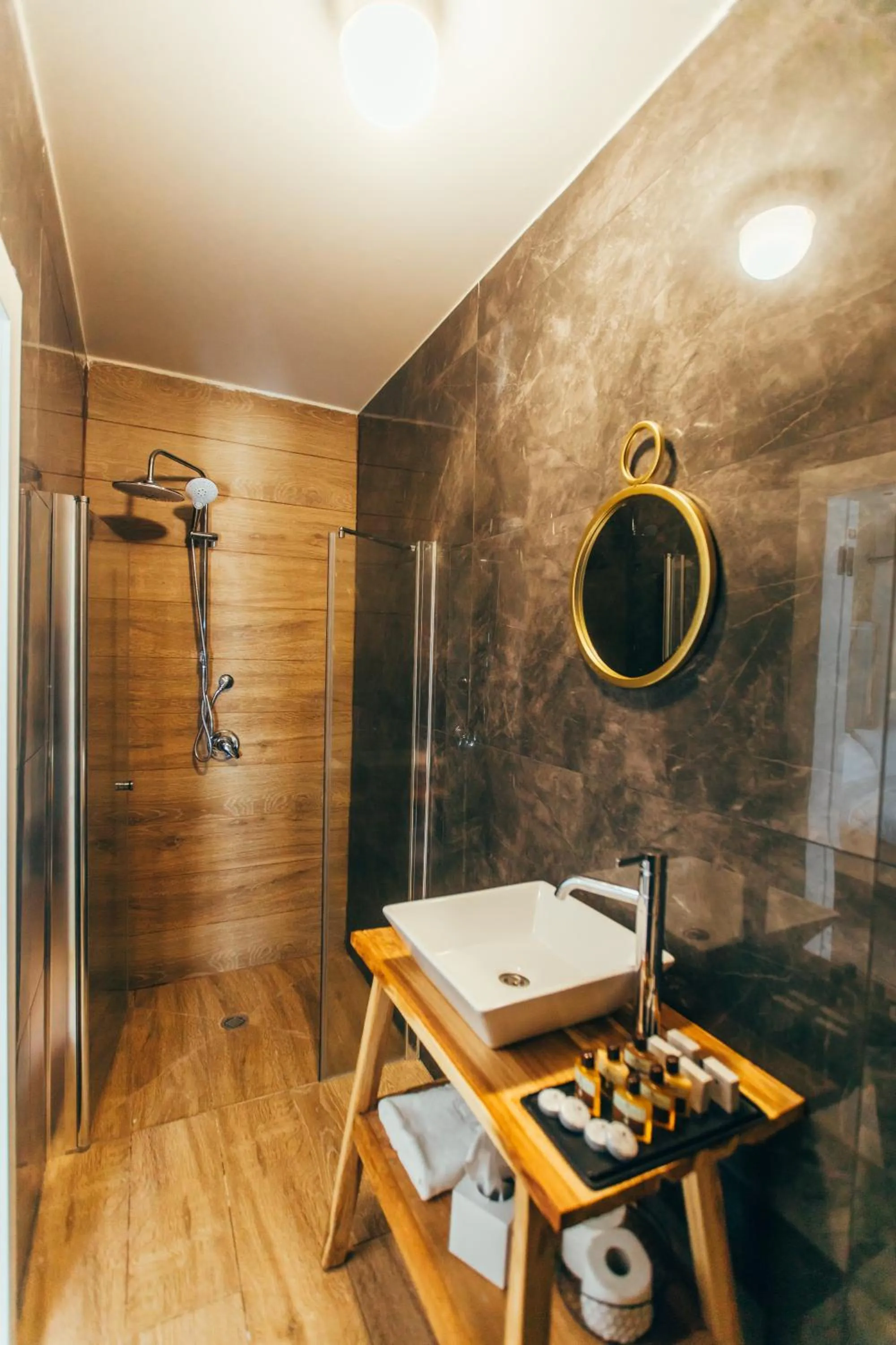 Shower in Hotel Anilevich Mansion