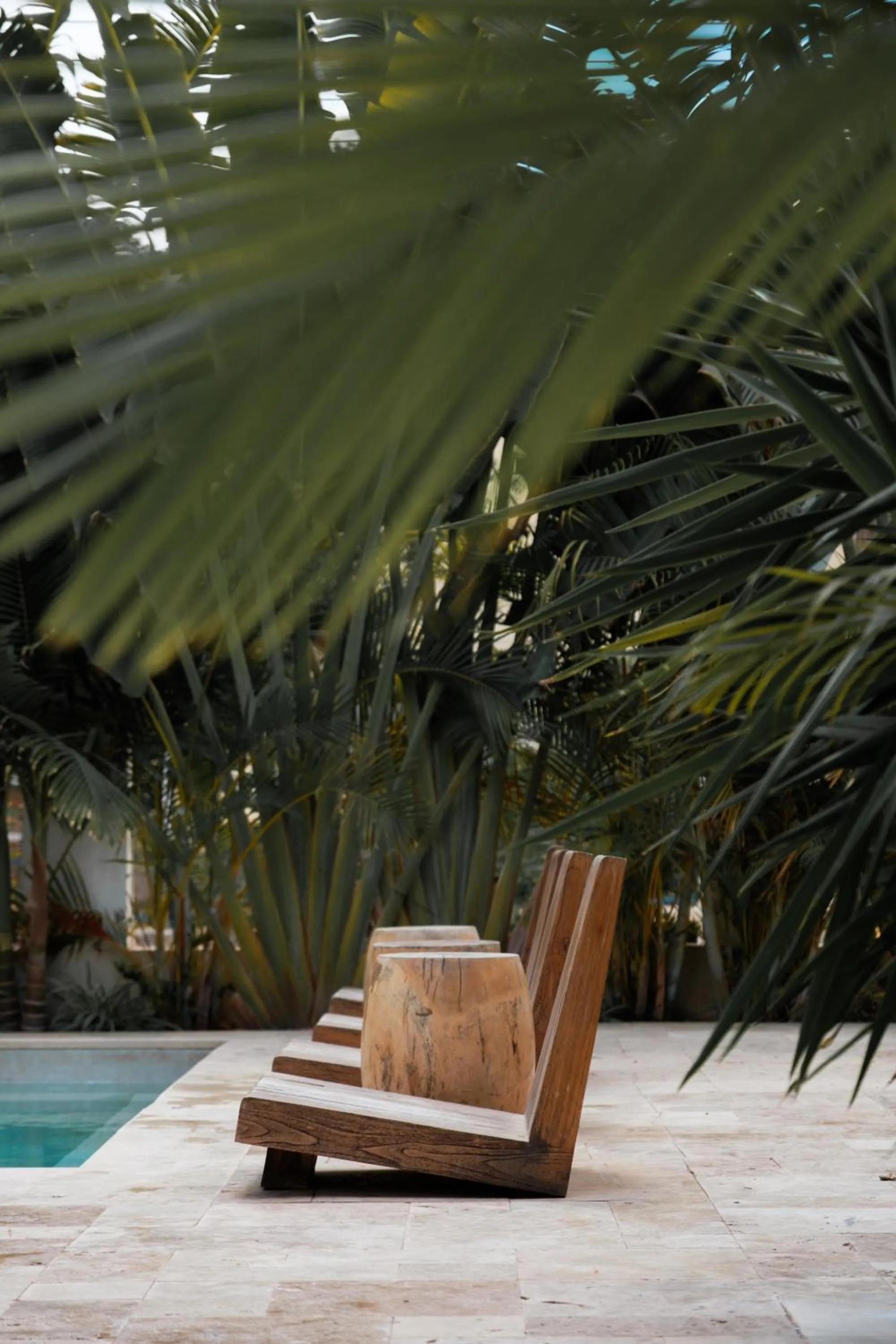 Hotel Anilevich Mansion