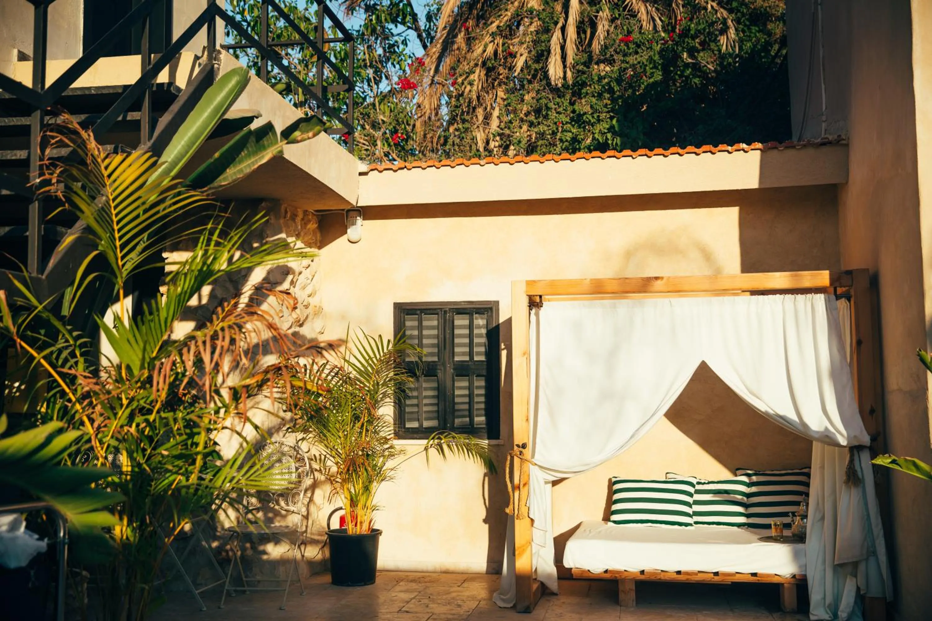Patio in Hotel Anilevich Mansion