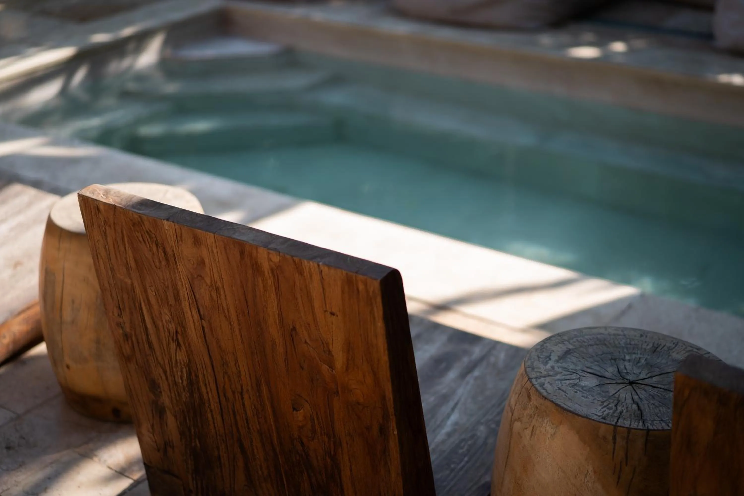 Hotel Anilevich Mansion