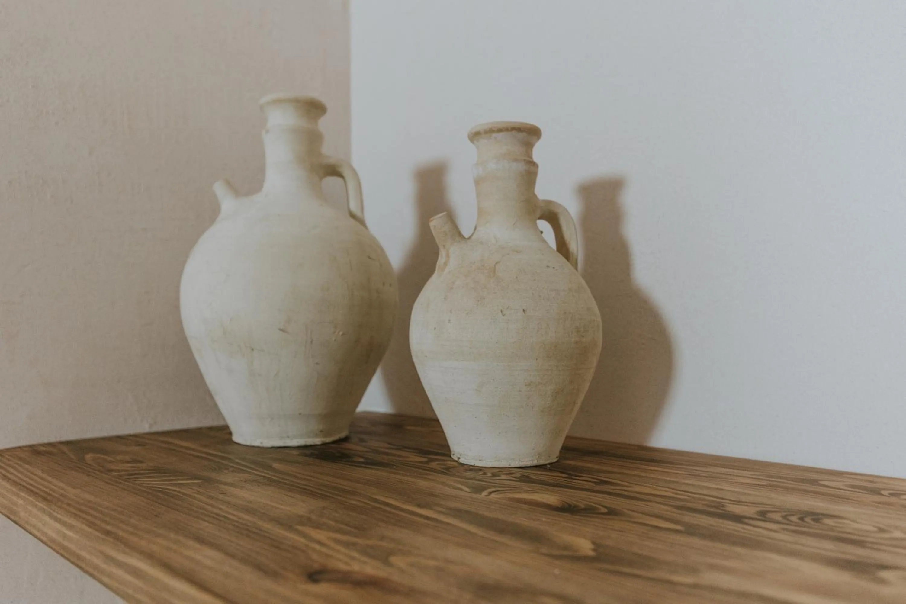 Photo of the whole room in Hotel Anilevich Mansion