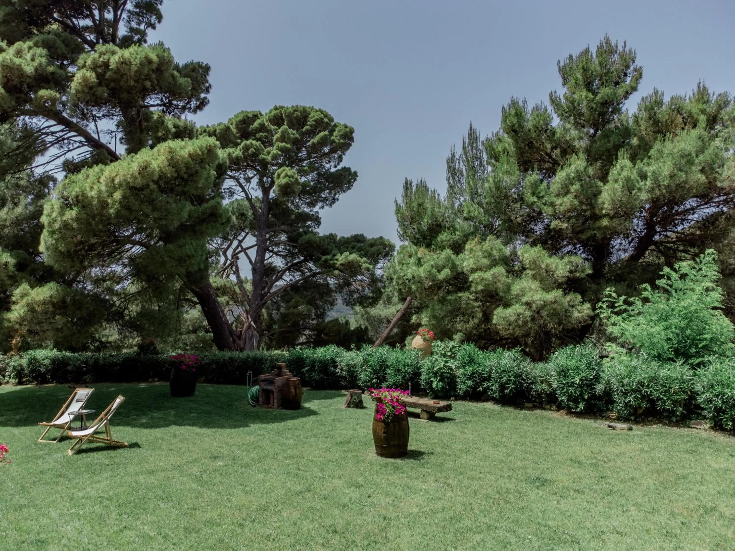 Garden in Palazzo Mazziotti