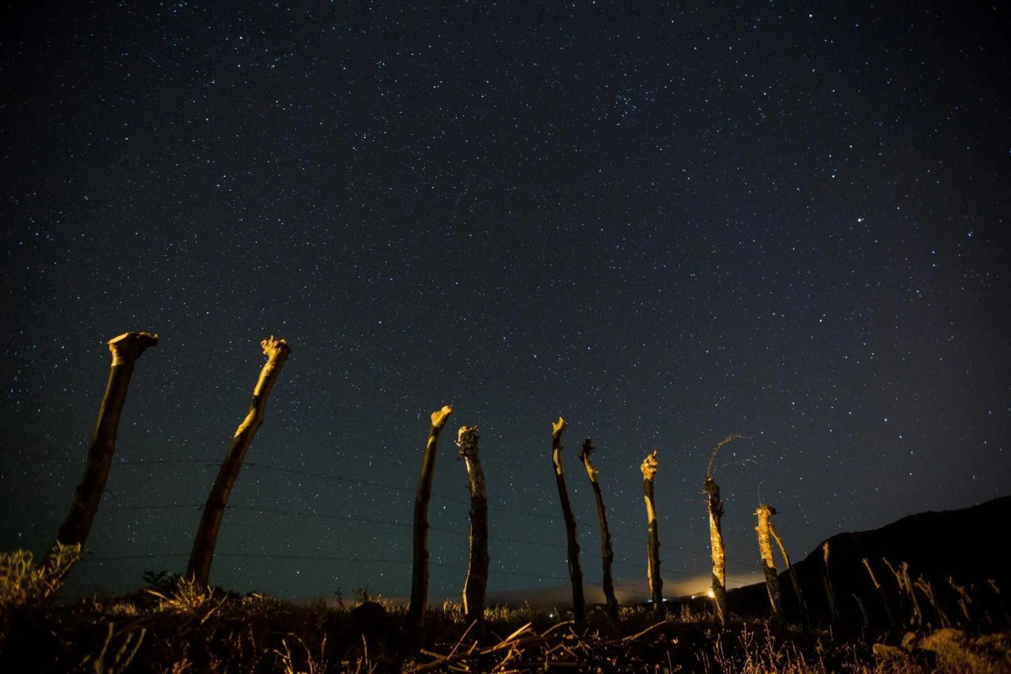 Breakfast in Vida Mountain Resort & Spa Adults Only