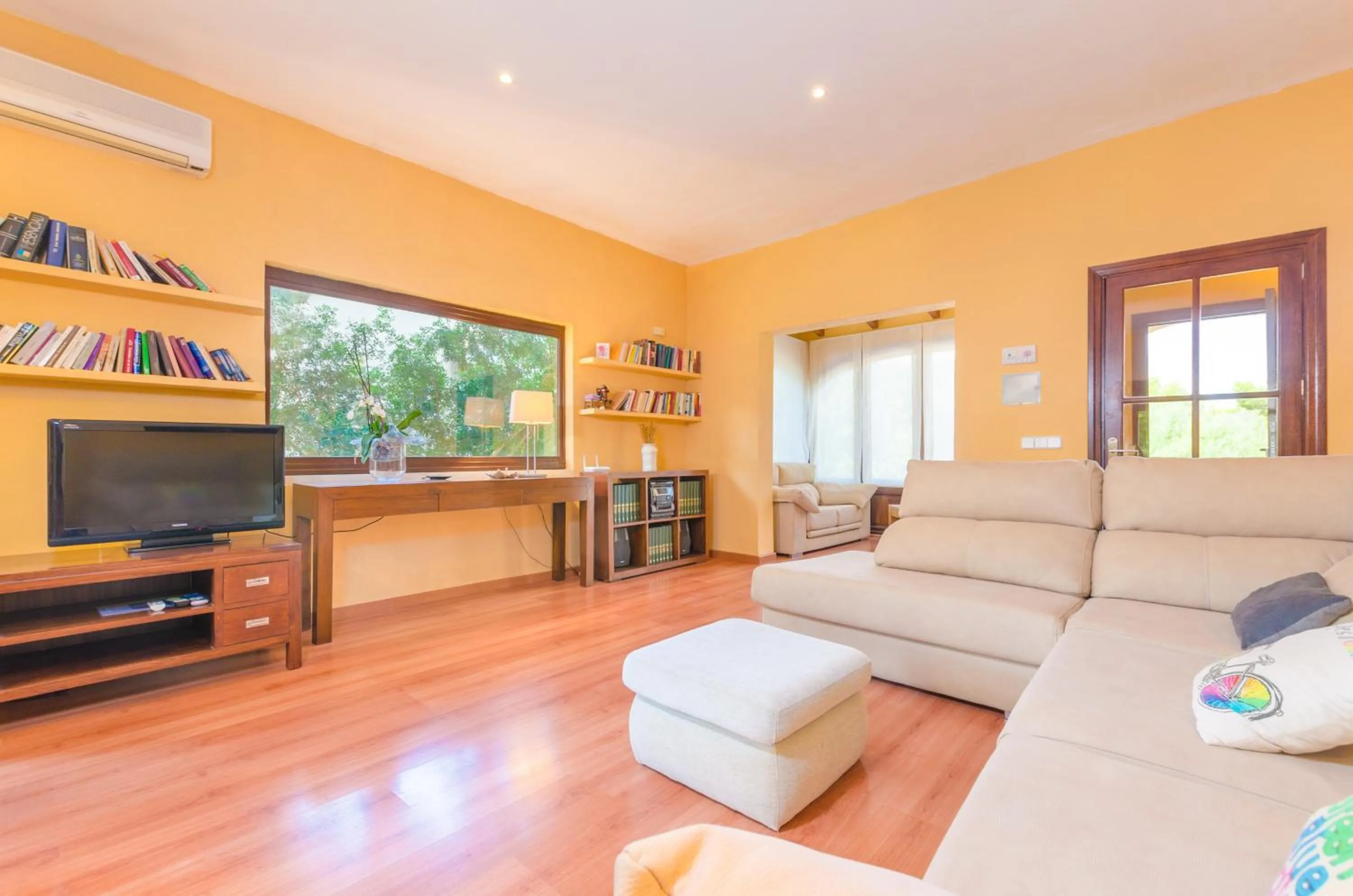 TV and multimedia in Rudy