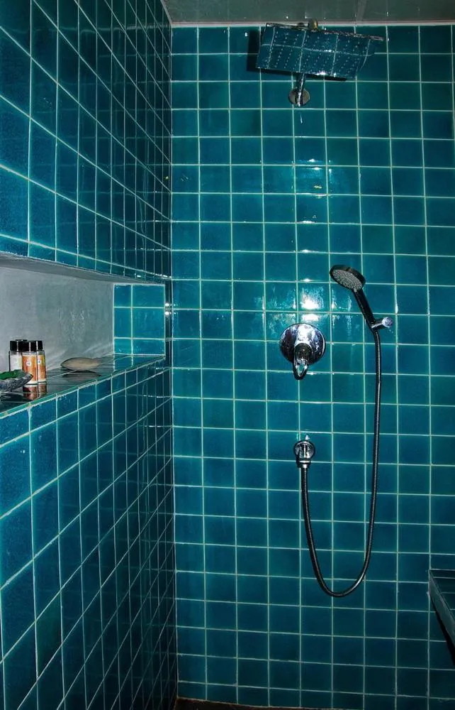 Shower in Siolim House