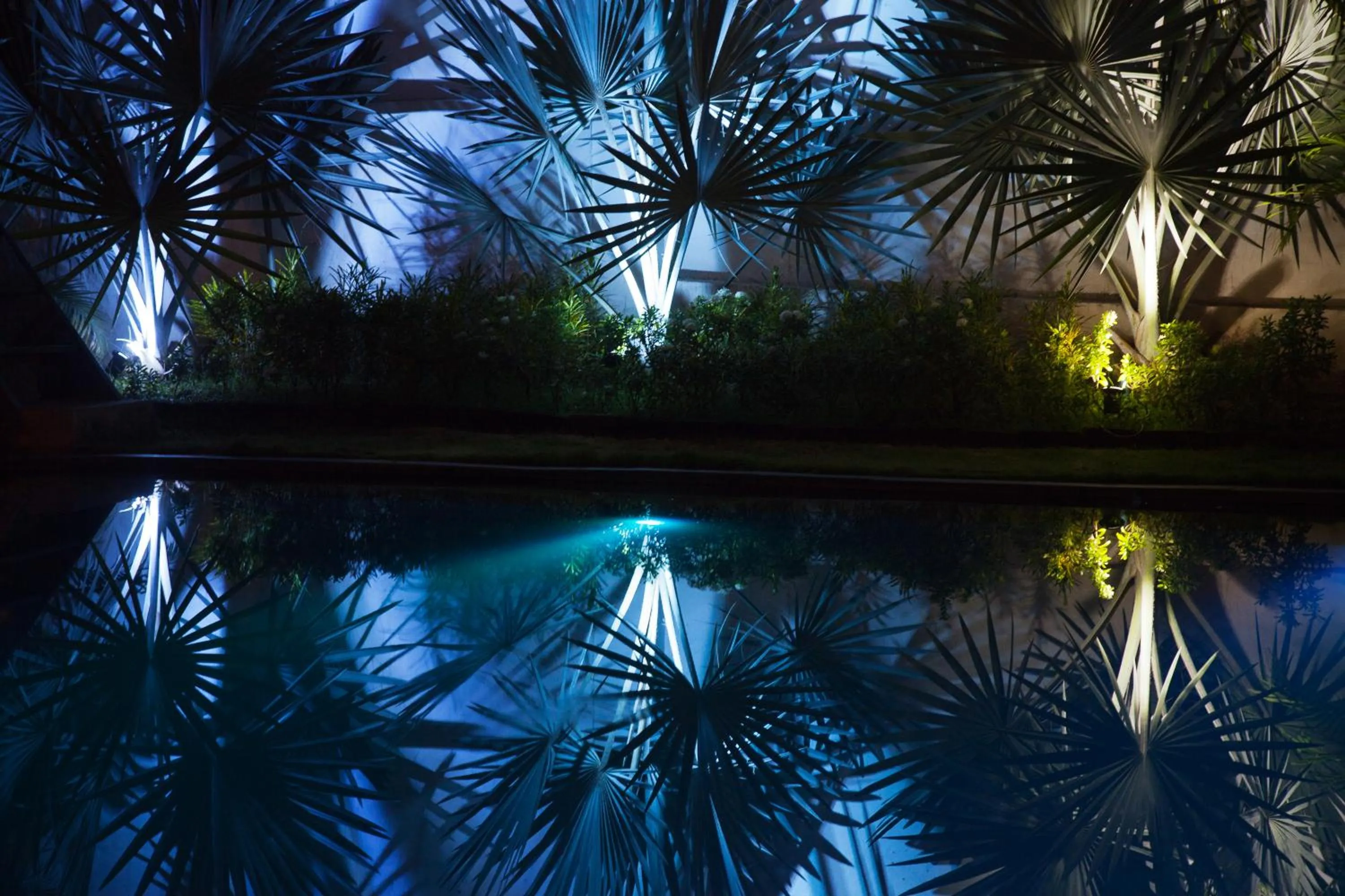 Garden in Siolim House