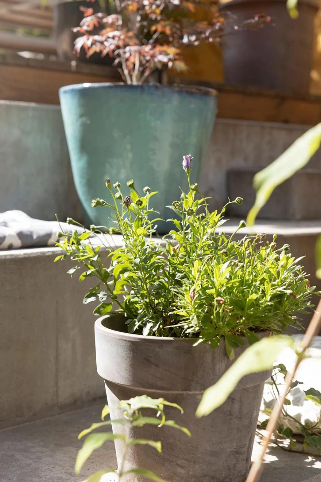 Balcony/Terrace in Grønbechs Hotel