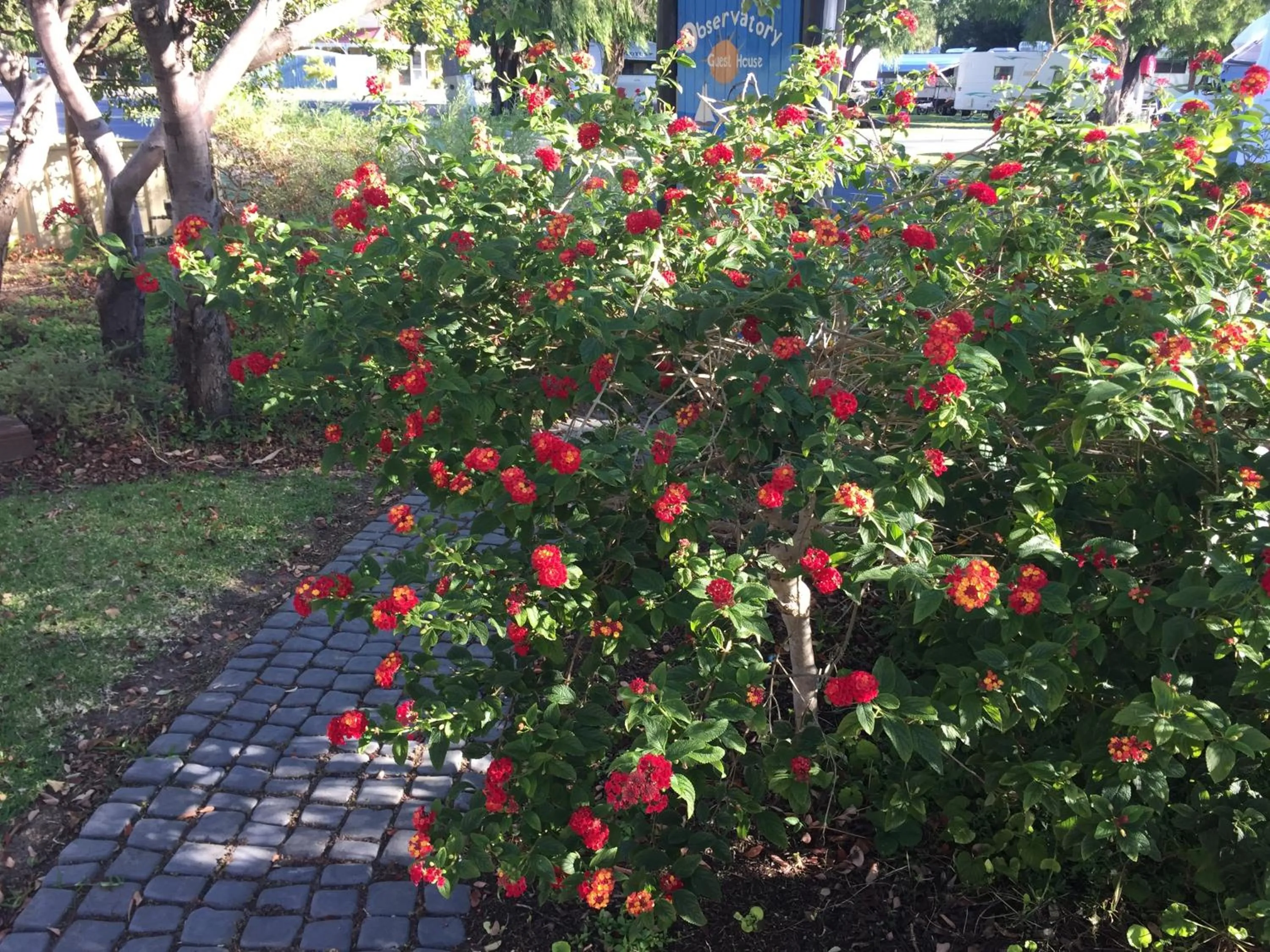 Garden in Observatory Guesthouse - Adults Only