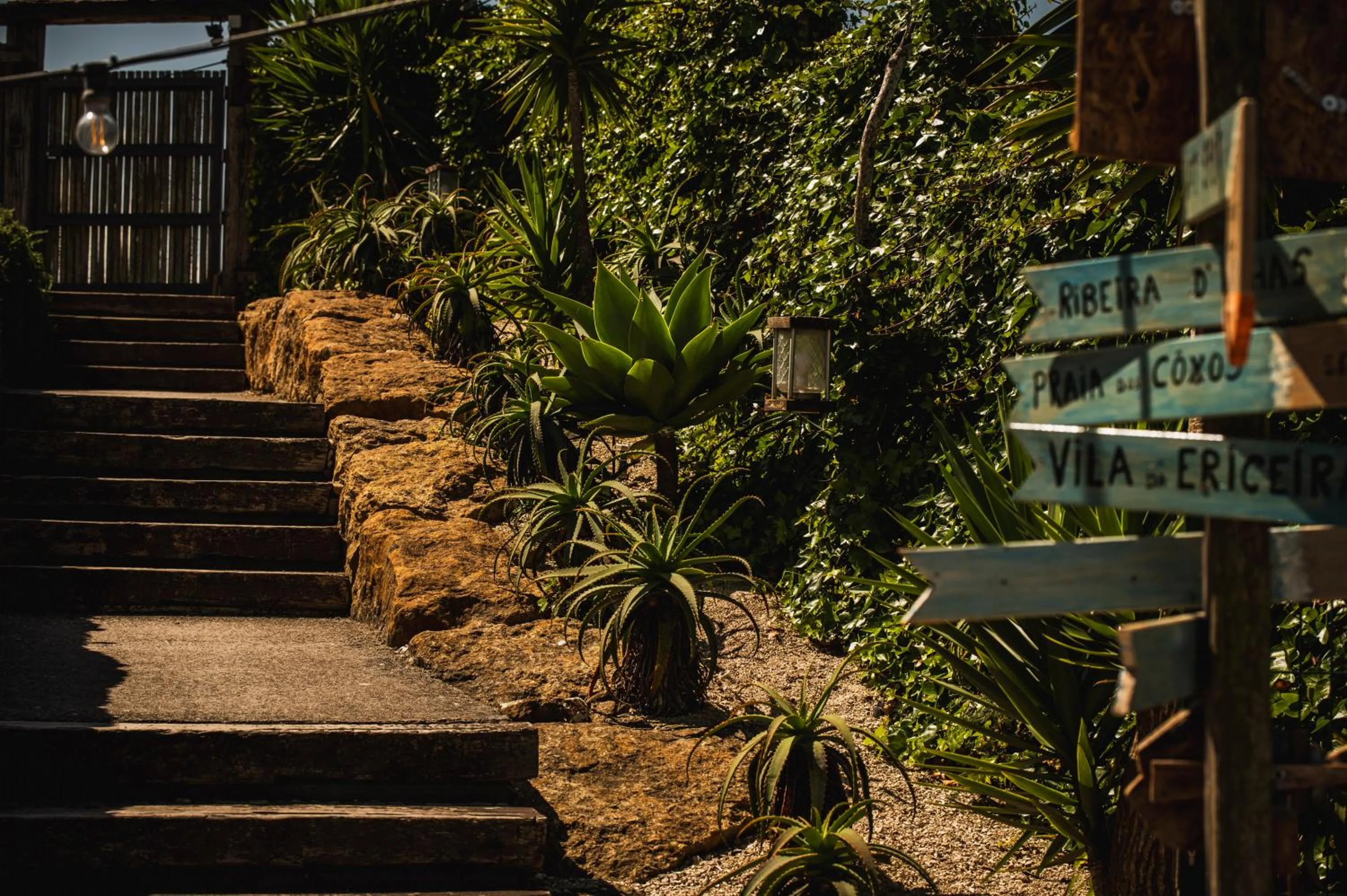 Garden in WOT Ericeira Surf Social