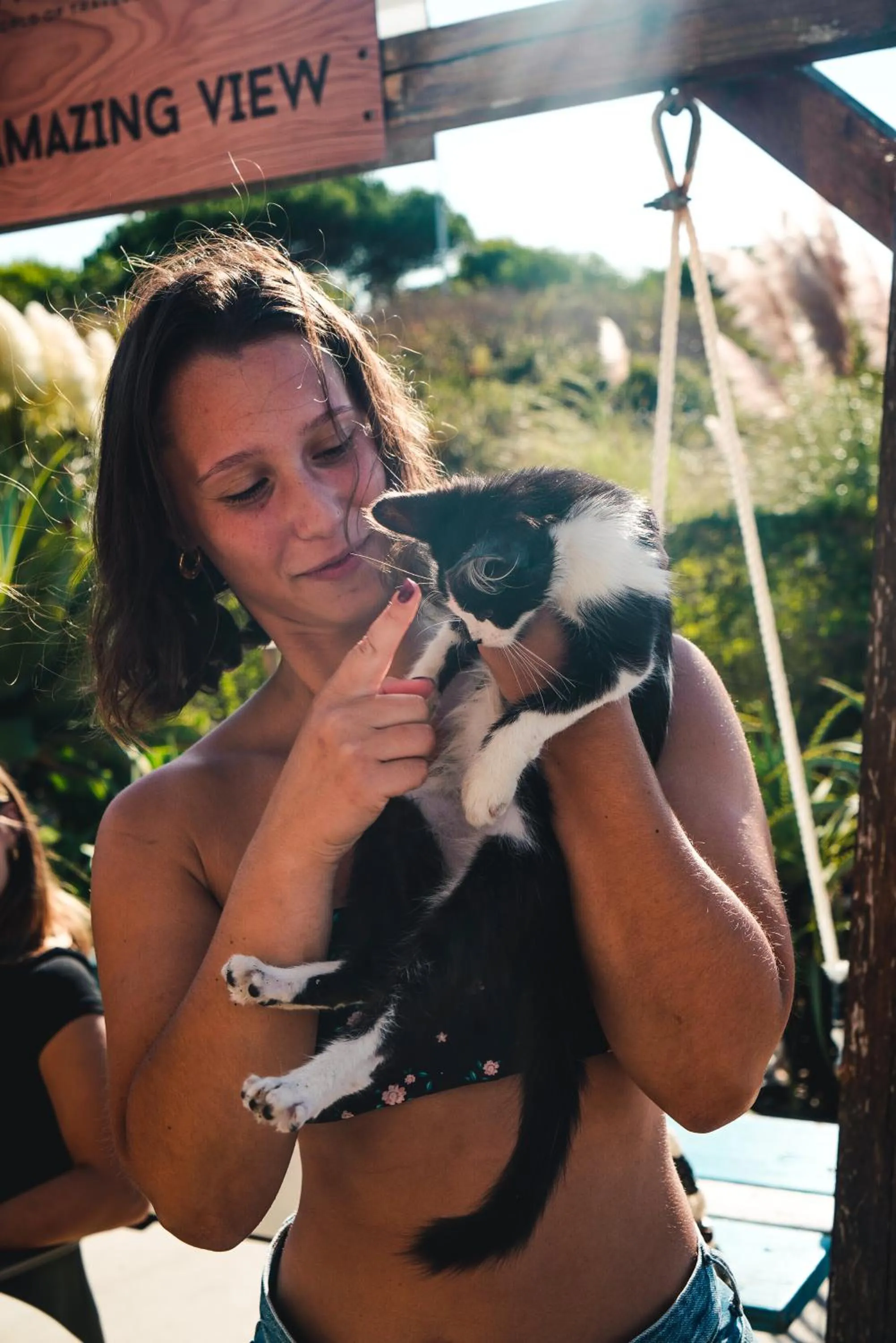 Pets in WOT Ericeira Surf Social