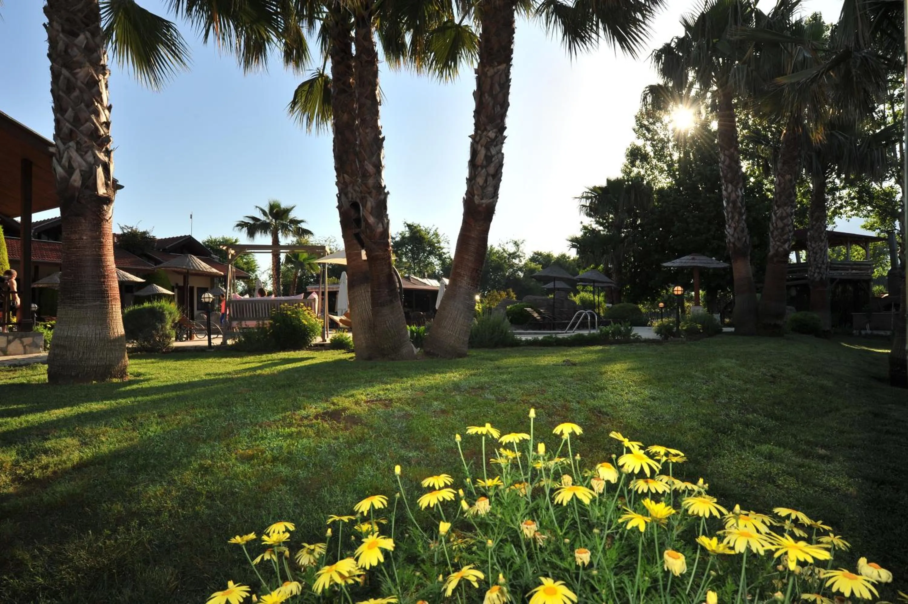 Garden in Grenadine Lodge