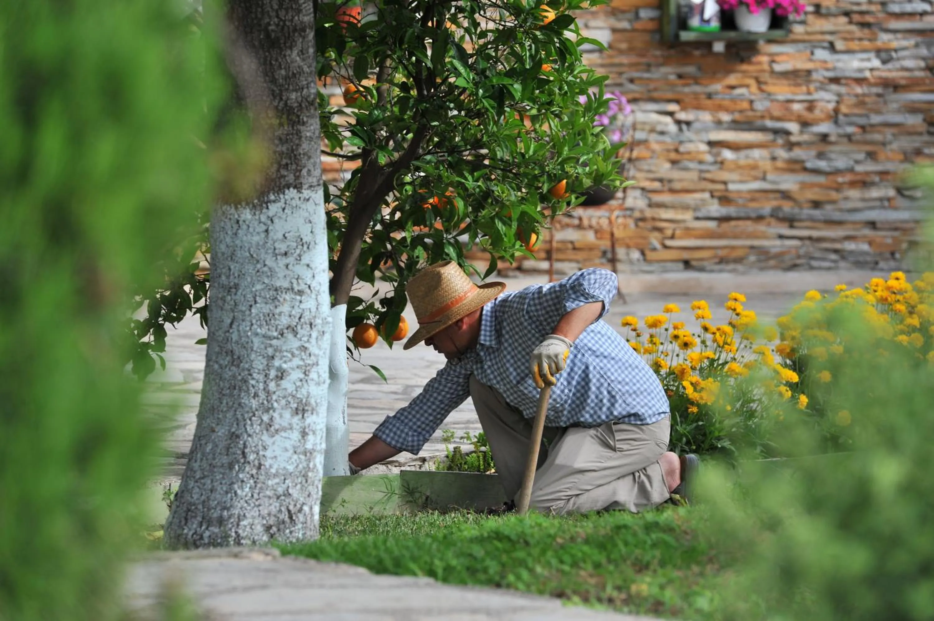 People in Grenadine Lodge