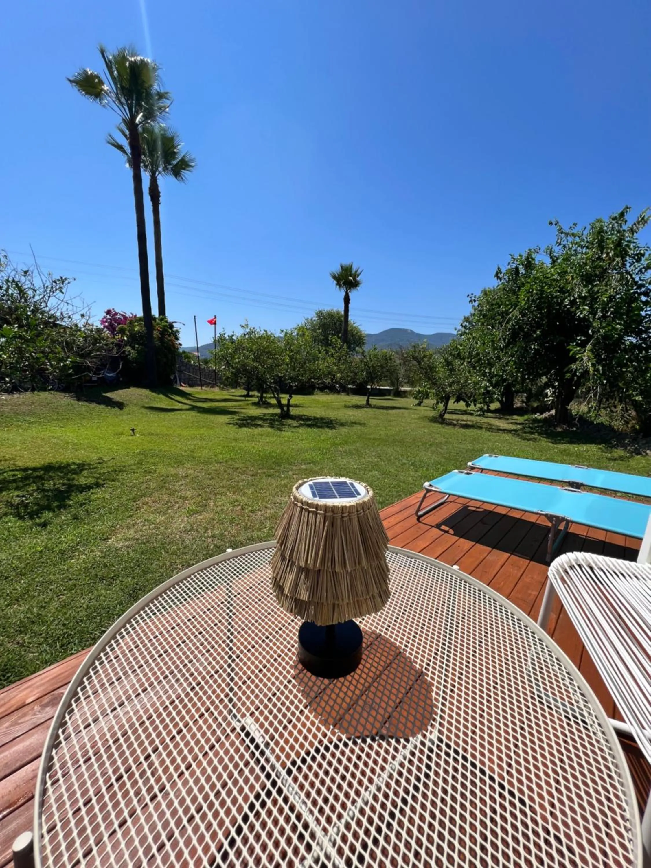 Garden in Grenadine Lodge