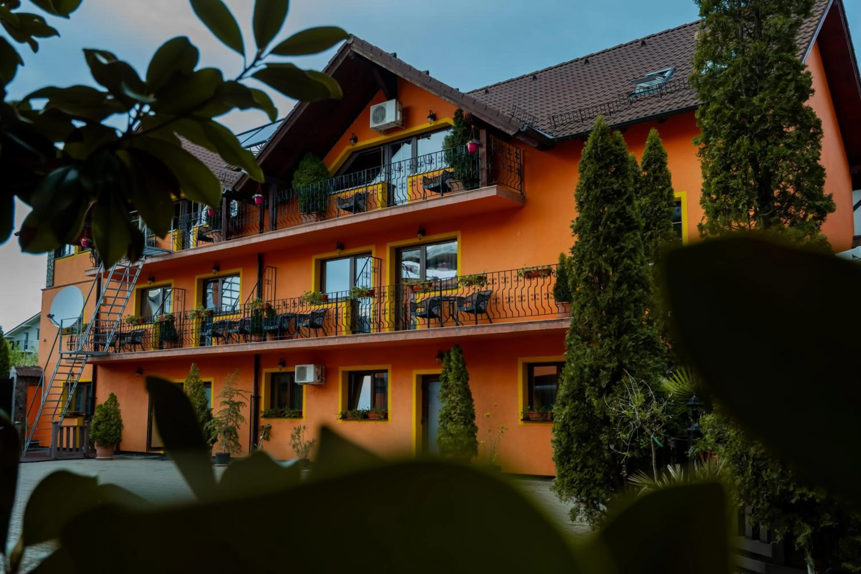 Garden in Complex Turistic Max International