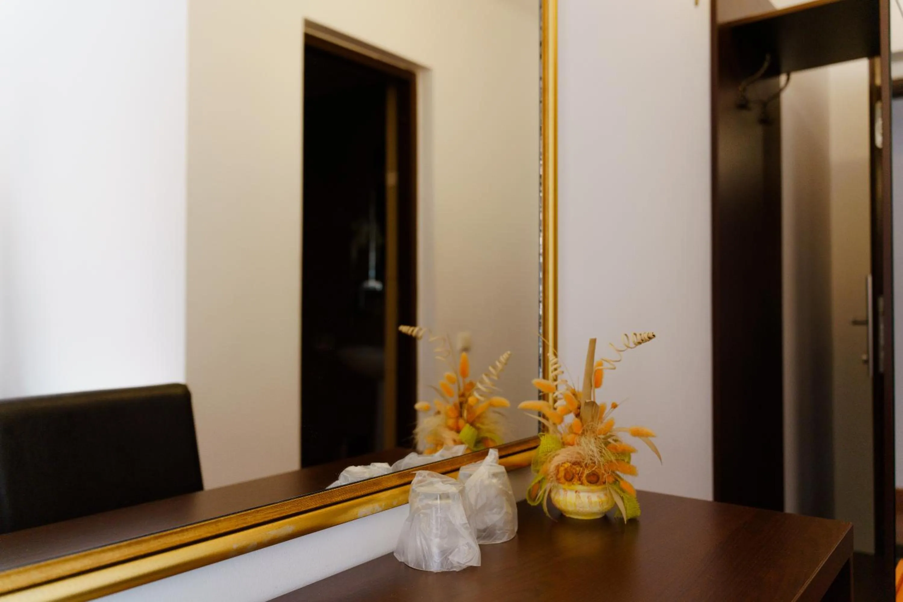 wardrobe in Complex Turistic Max International