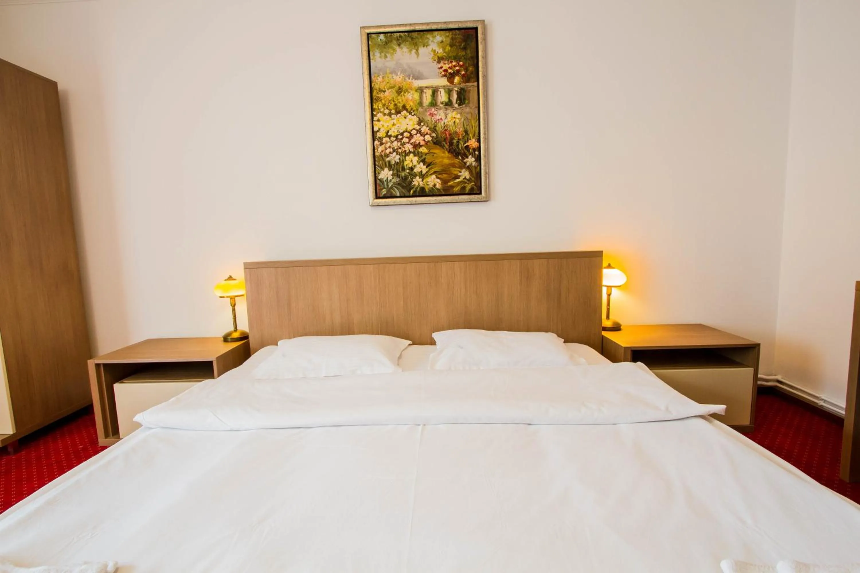 Bed in Complex Turistic Max International