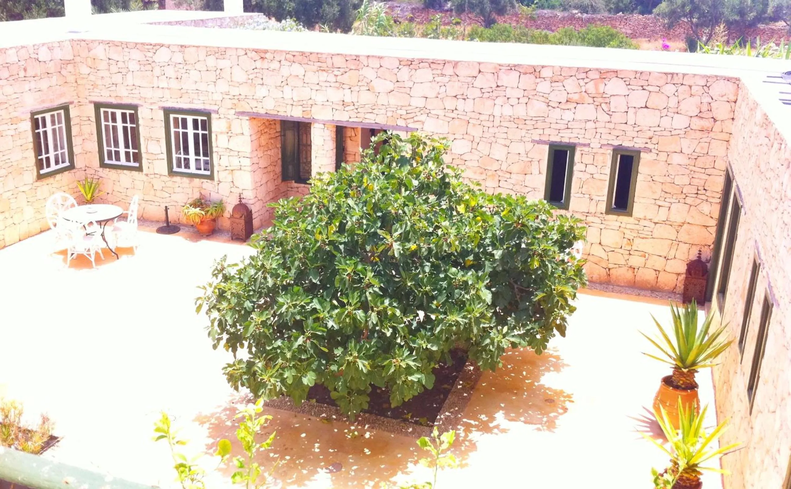 Patio in Les Jardins de Villa Maroc