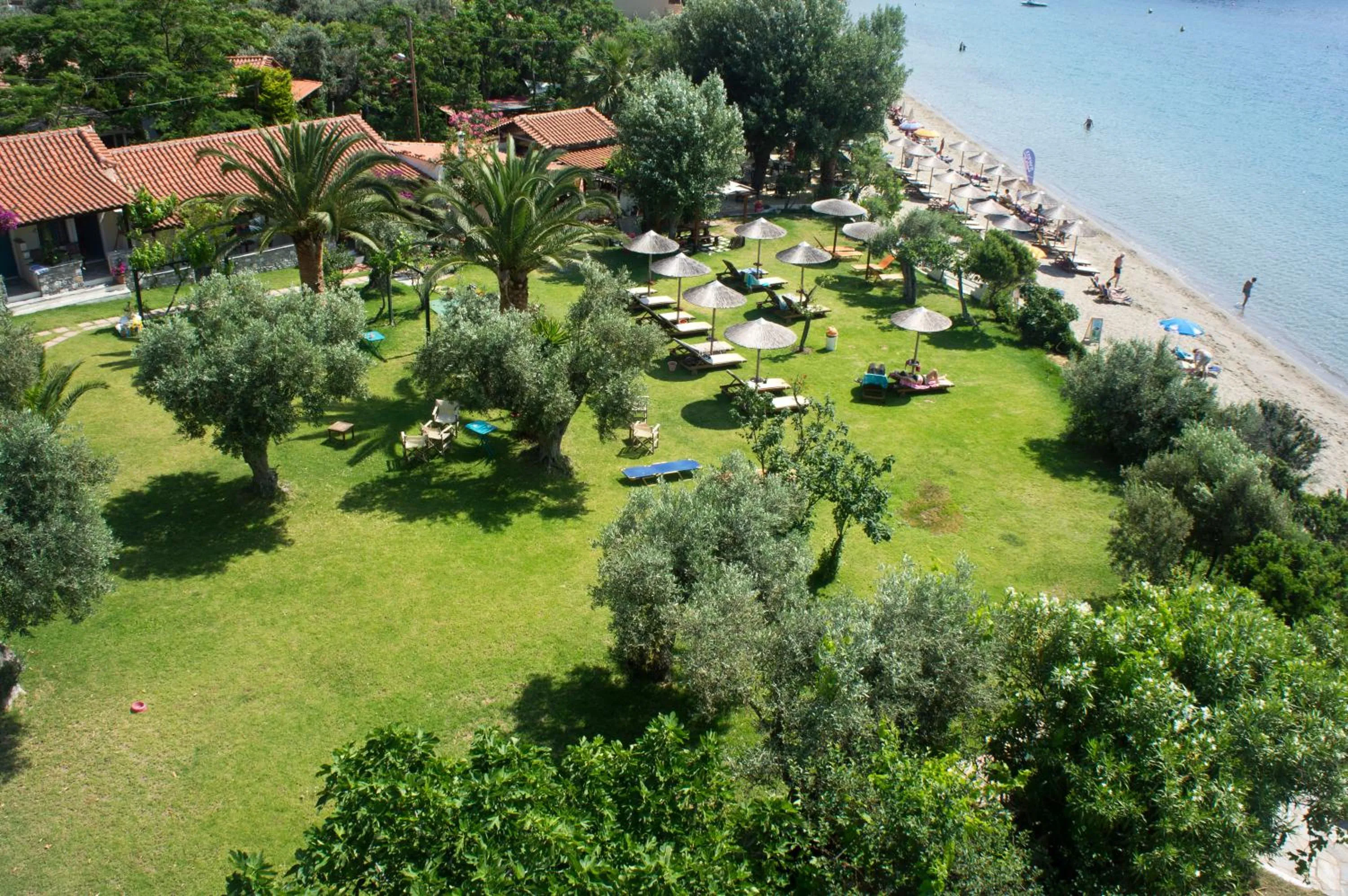 Garden in Angeliki Beach Hotel