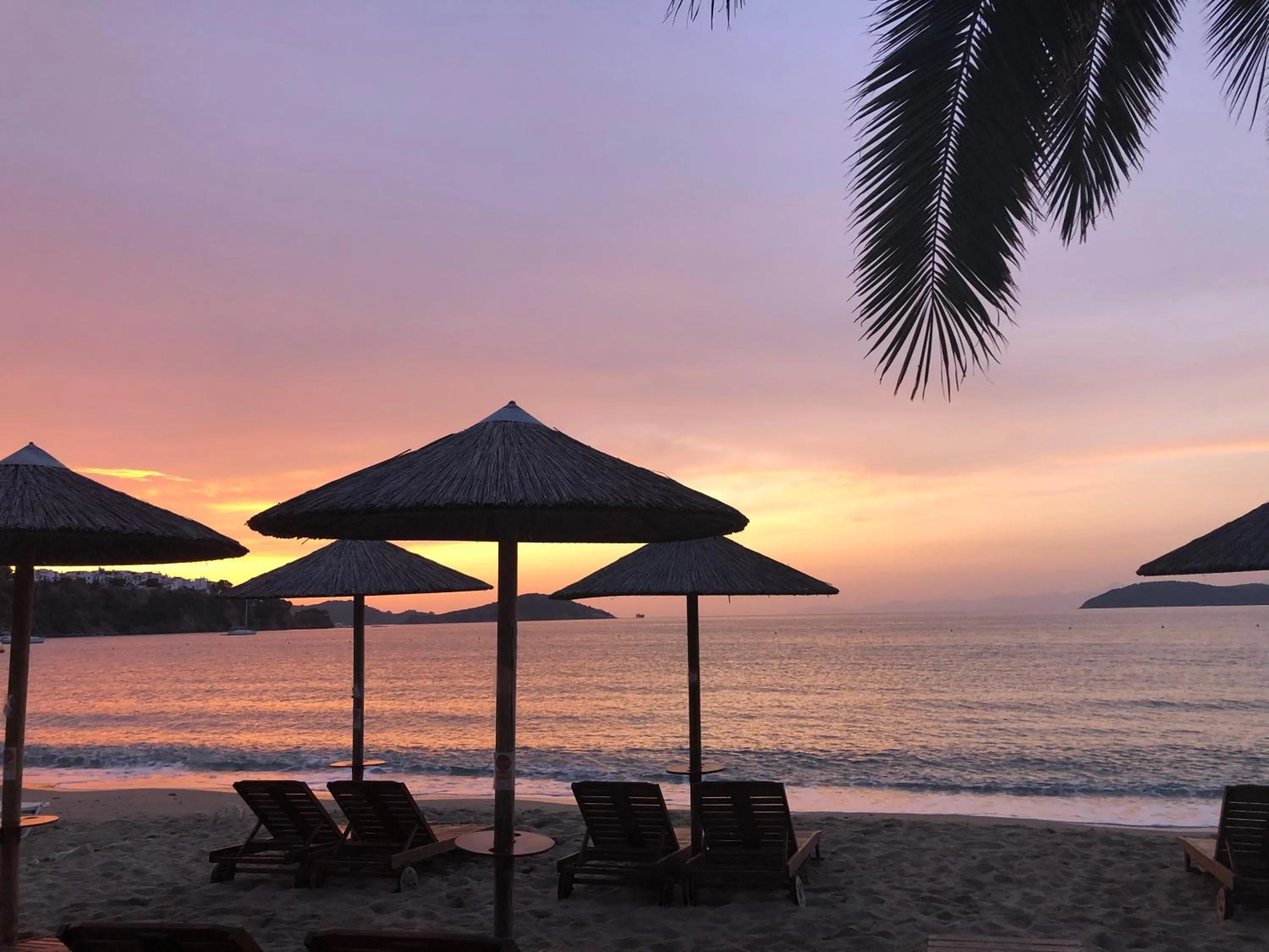 Restaurant/places to eat in Angeliki Beach Hotel