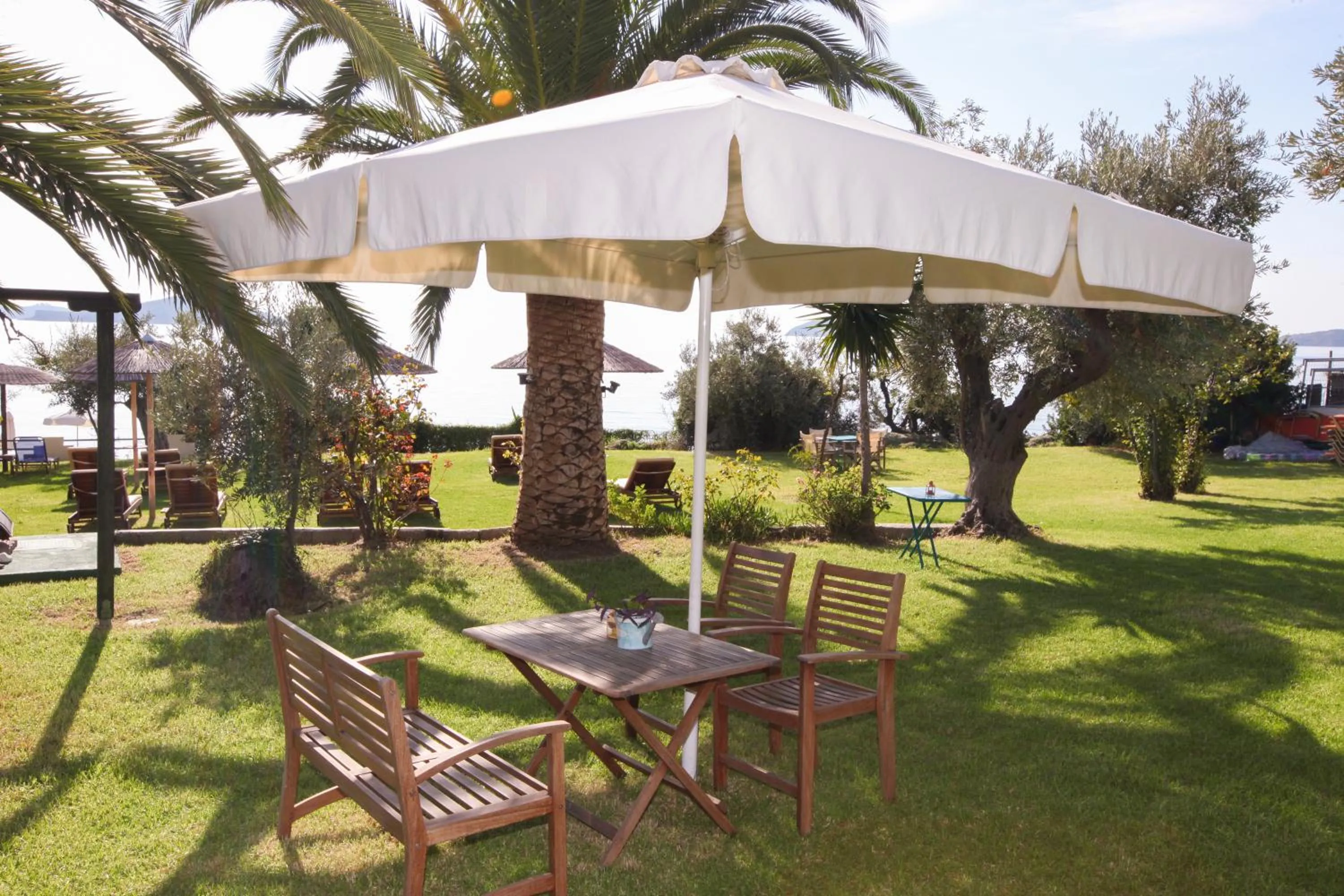 Garden in Angeliki Beach Hotel