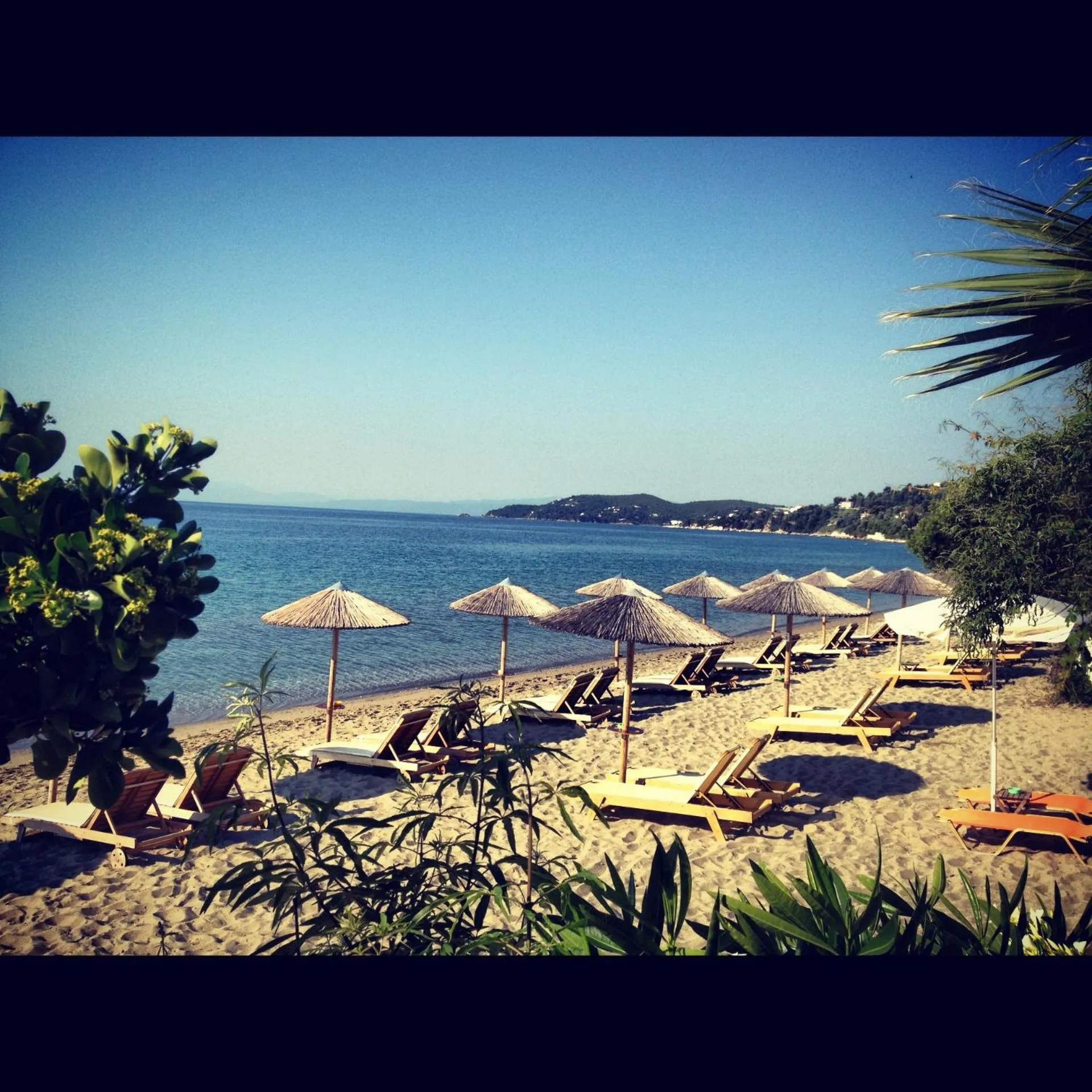 Area and facilities in Angeliki Beach Hotel