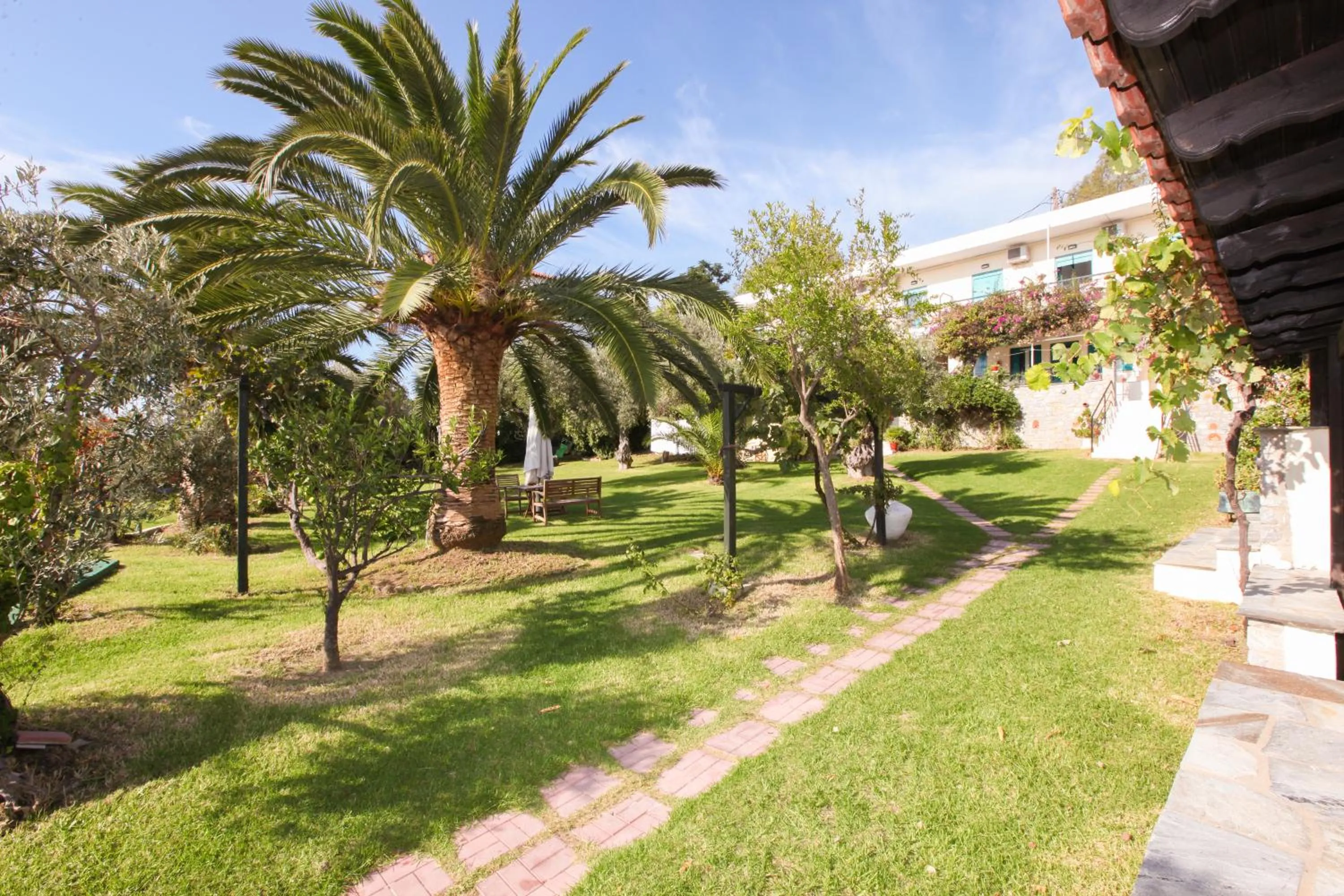 Other in Angeliki Beach Hotel