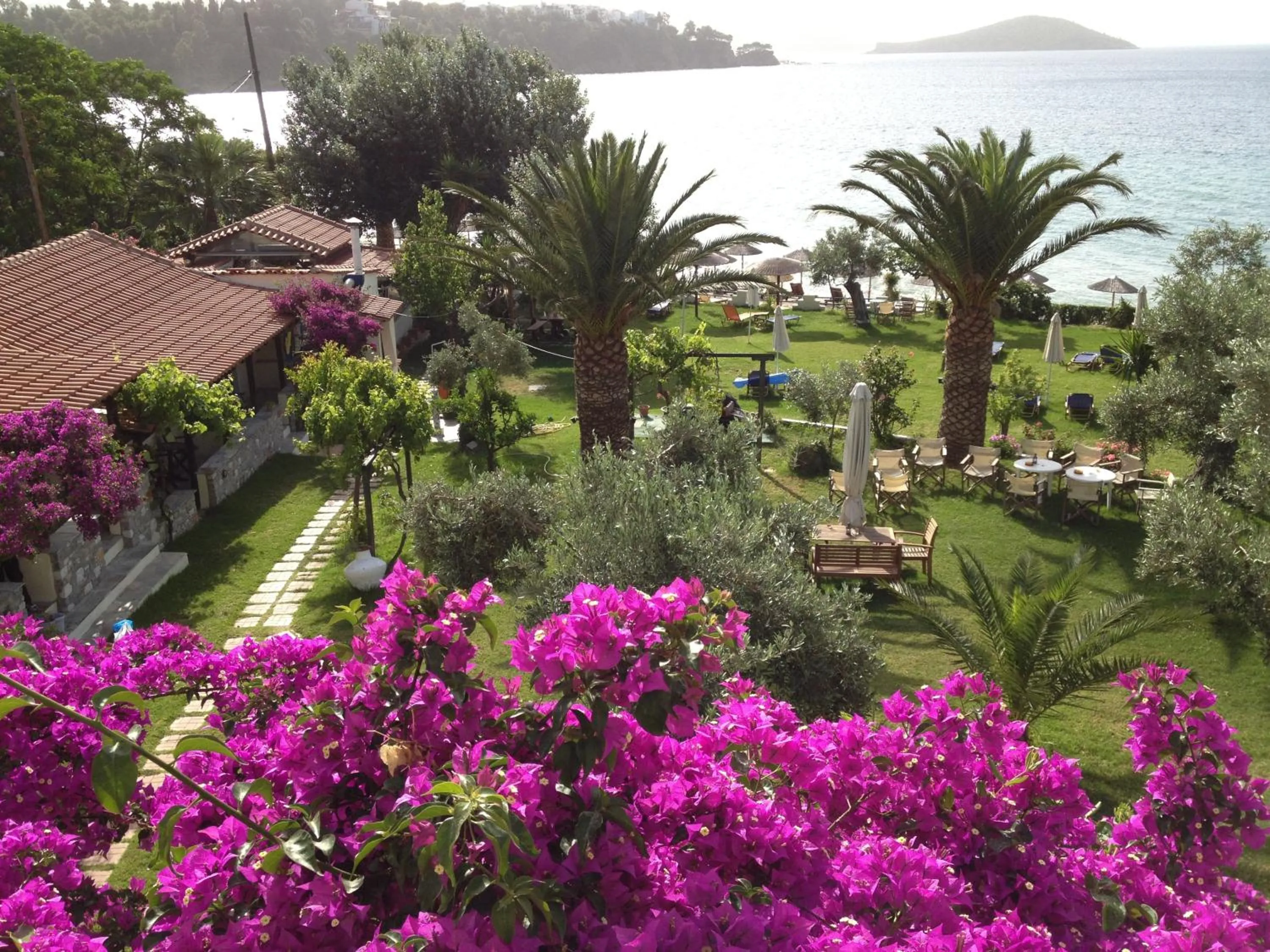 Garden in Angeliki Beach Hotel
