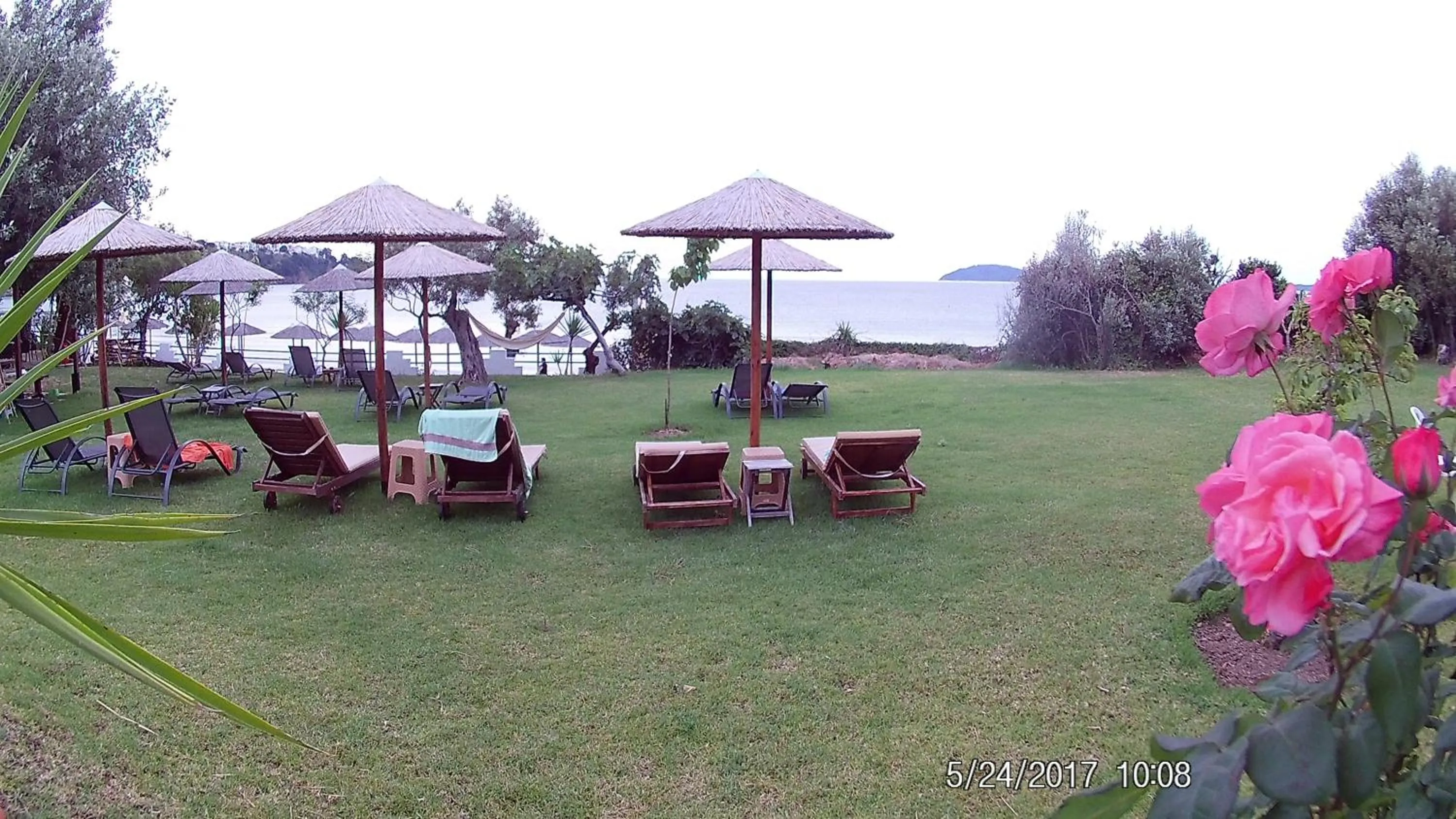 Garden in Angeliki Beach Hotel