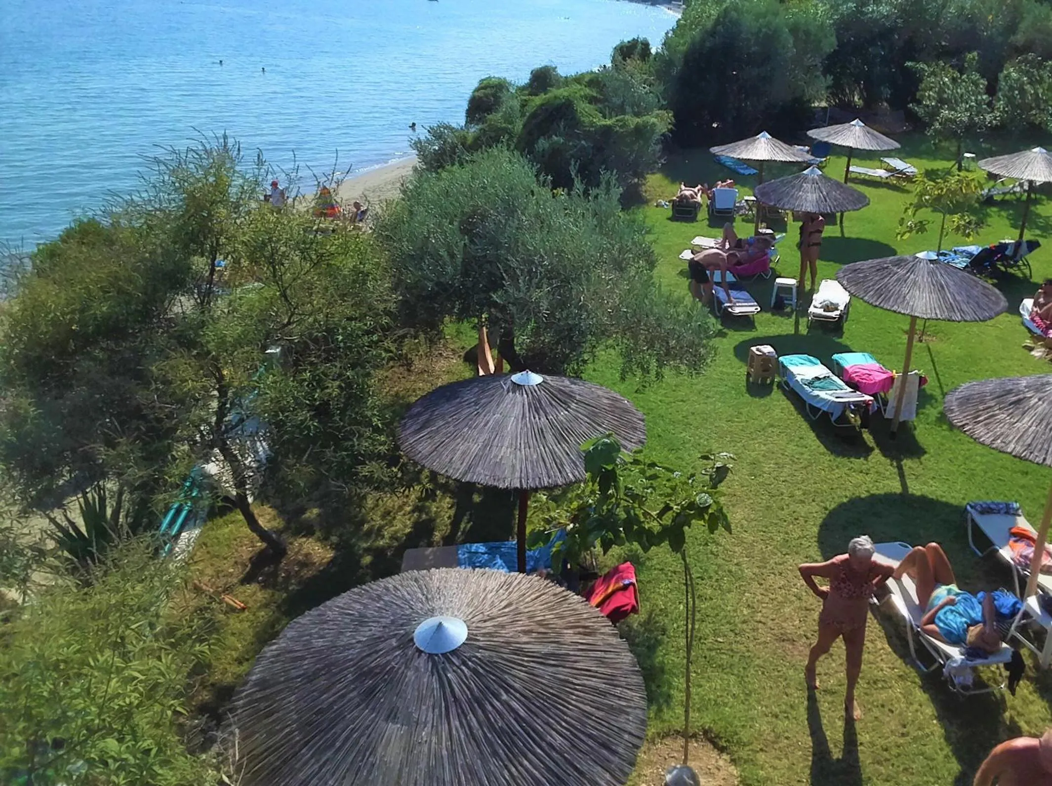 Garden in Angeliki Beach Hotel
