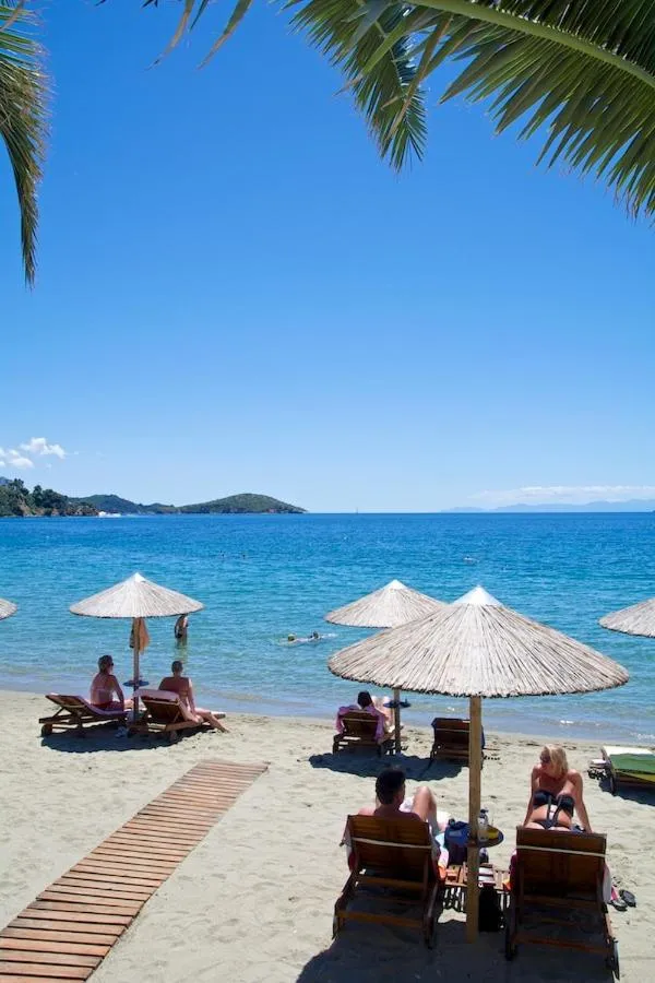 Area and facilities in Angeliki Beach Hotel