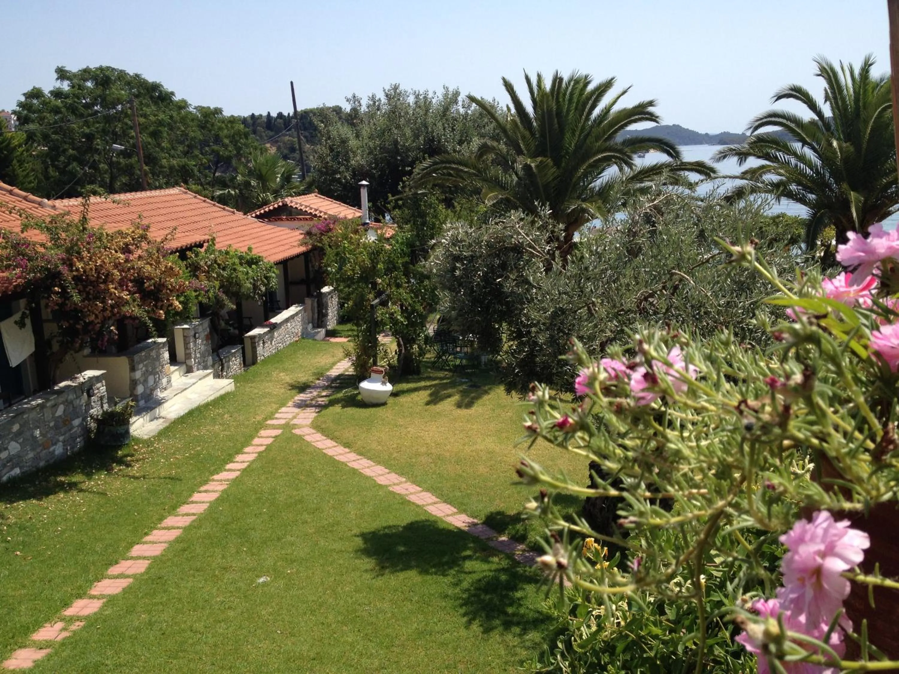 Garden in Angeliki Beach Hotel