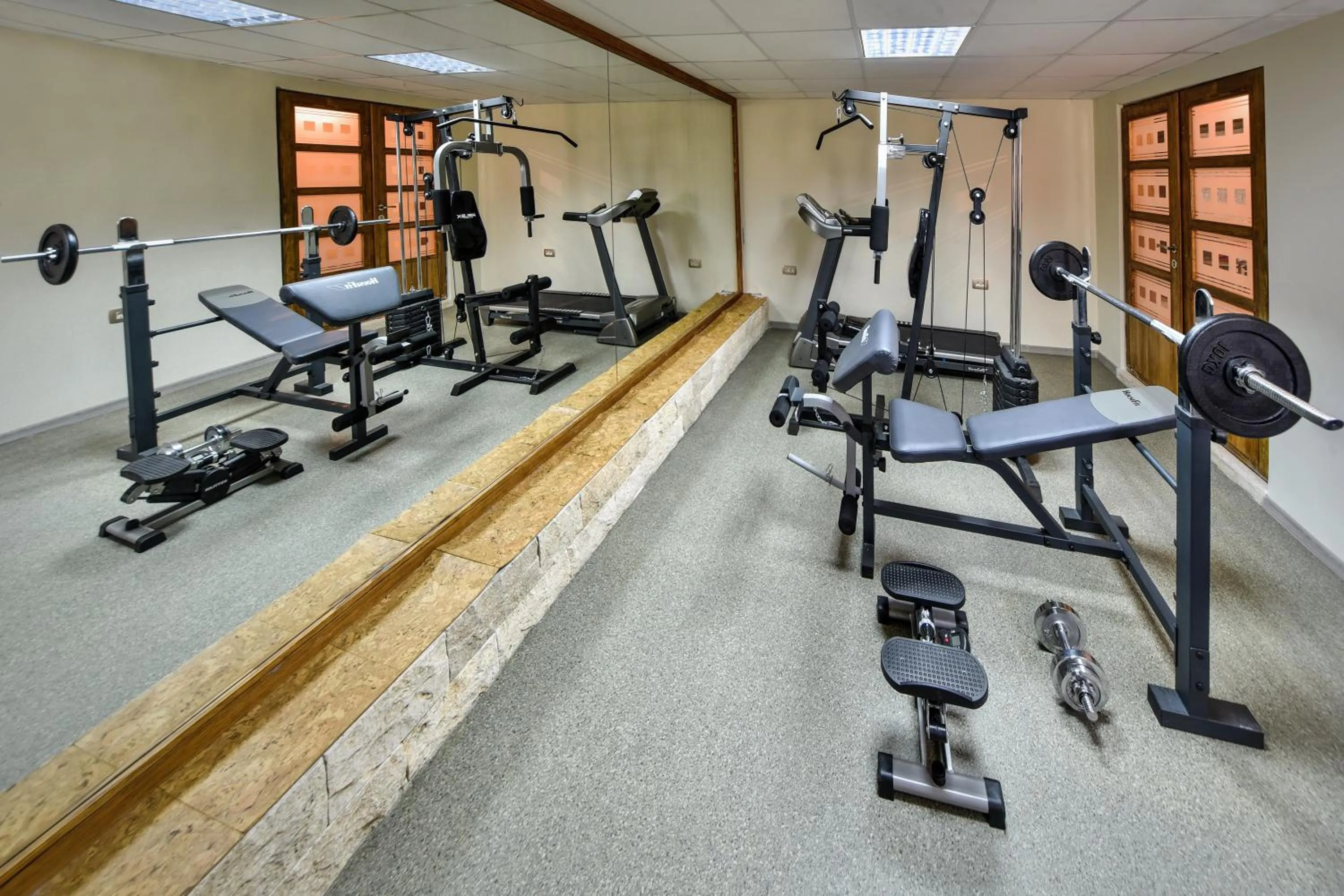 Fitness centre/facilities in Villa Dub