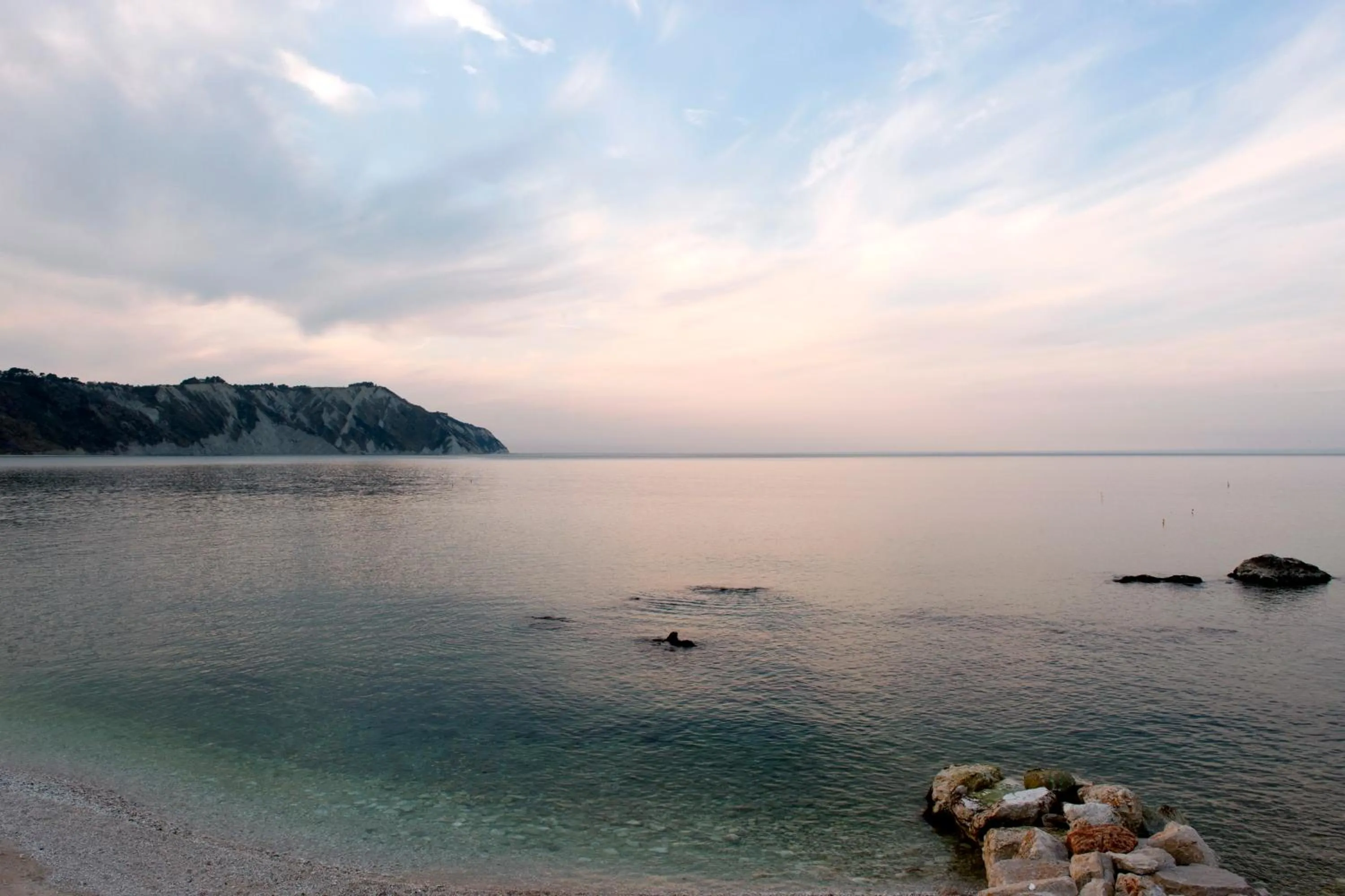 Area and facilities in Hotel Emilia