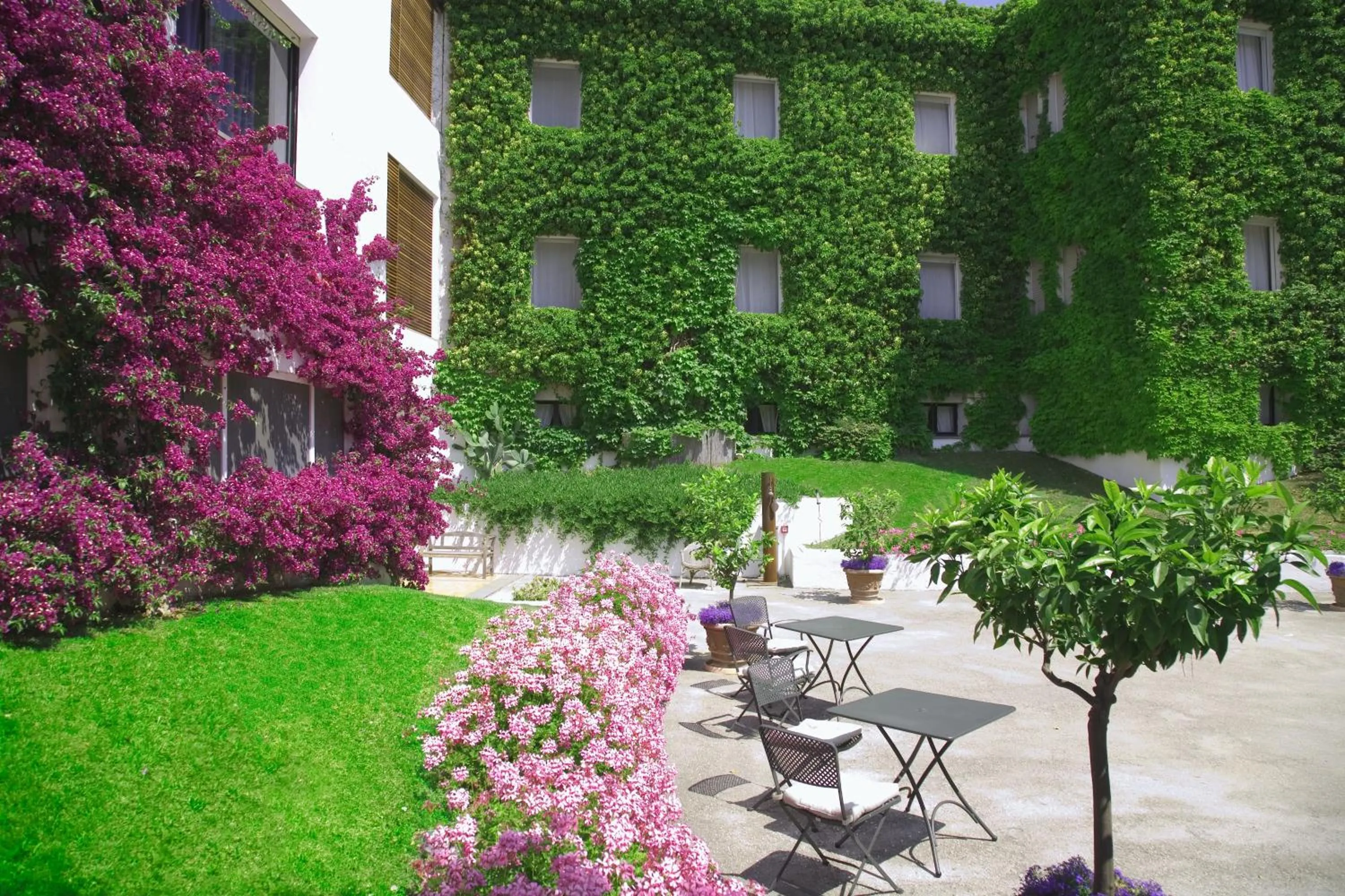 Facade/entrance in Hotel Emilia