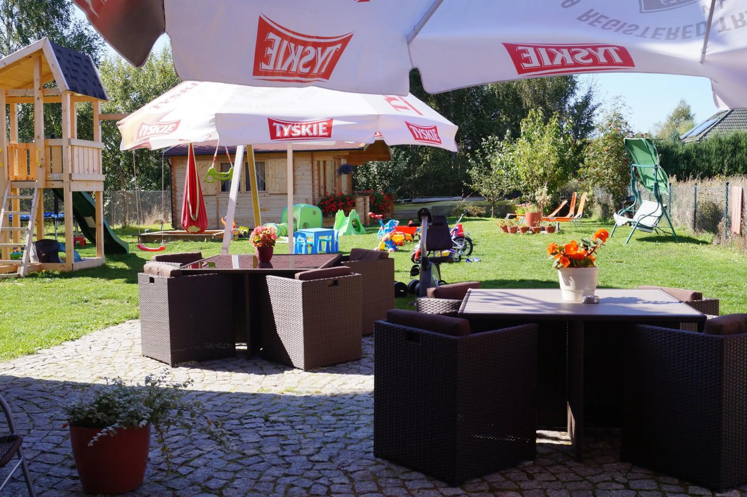 Activities in Villa Amber